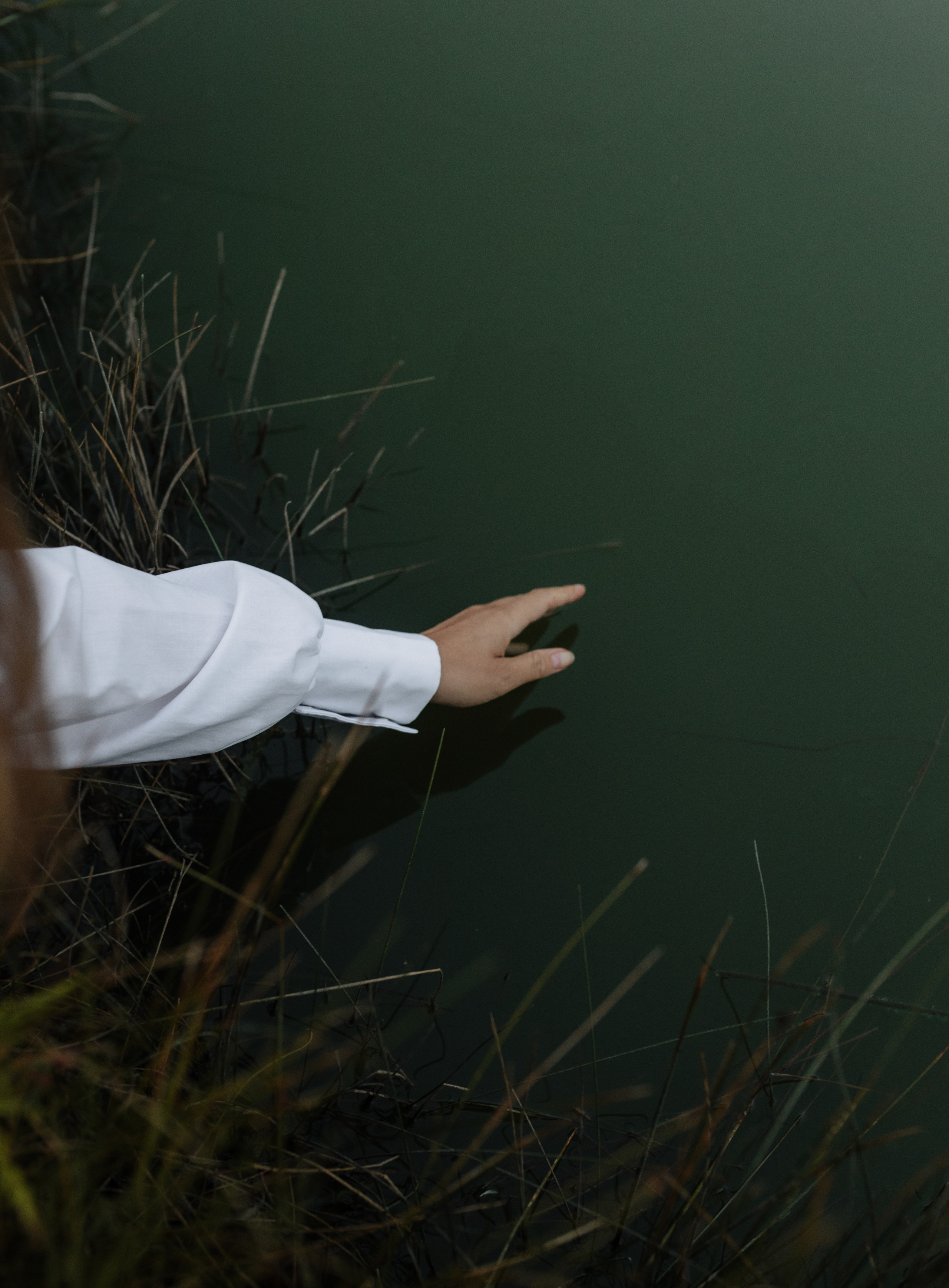 Дарина. Весільний та сімейний фотограф у Харкові Ткаченко Світлана