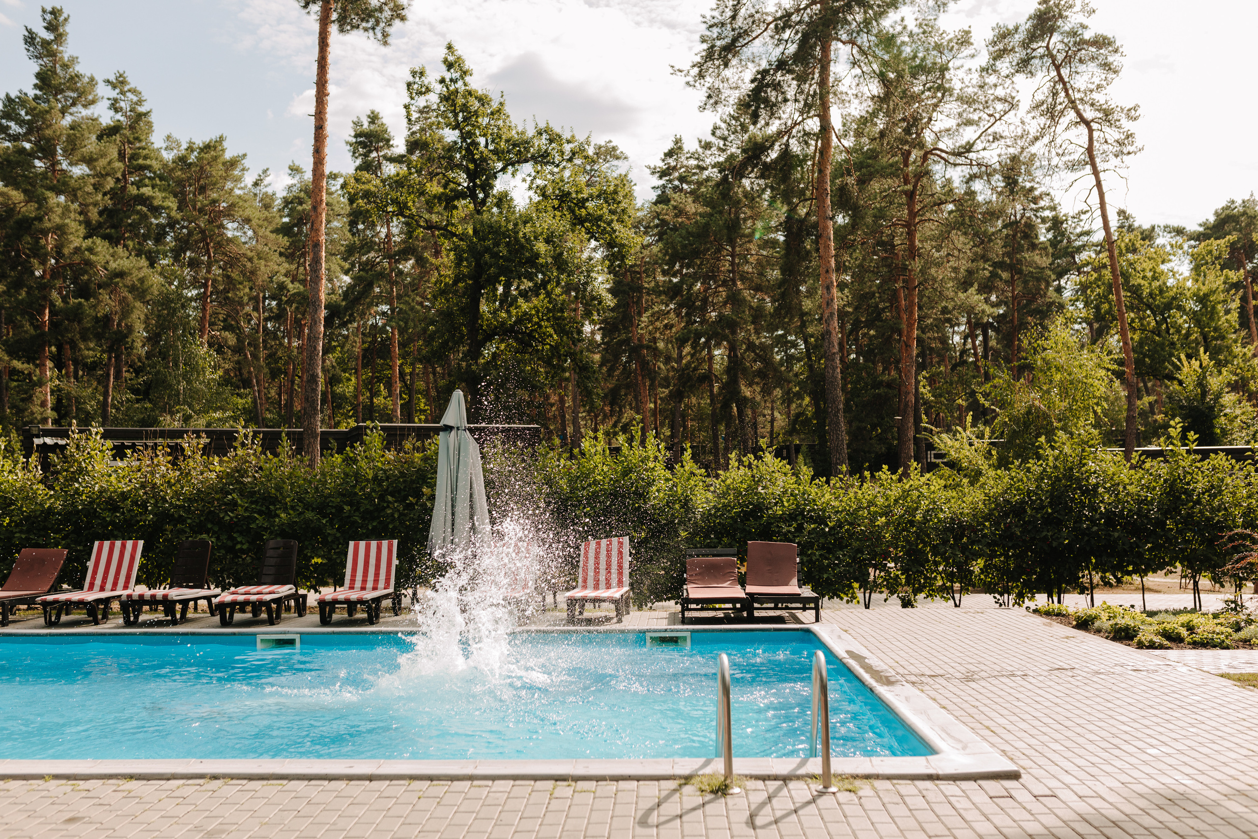 Віка & Максим. Весільний та сімейний фотограф у Харкові Ткаченко Світлана