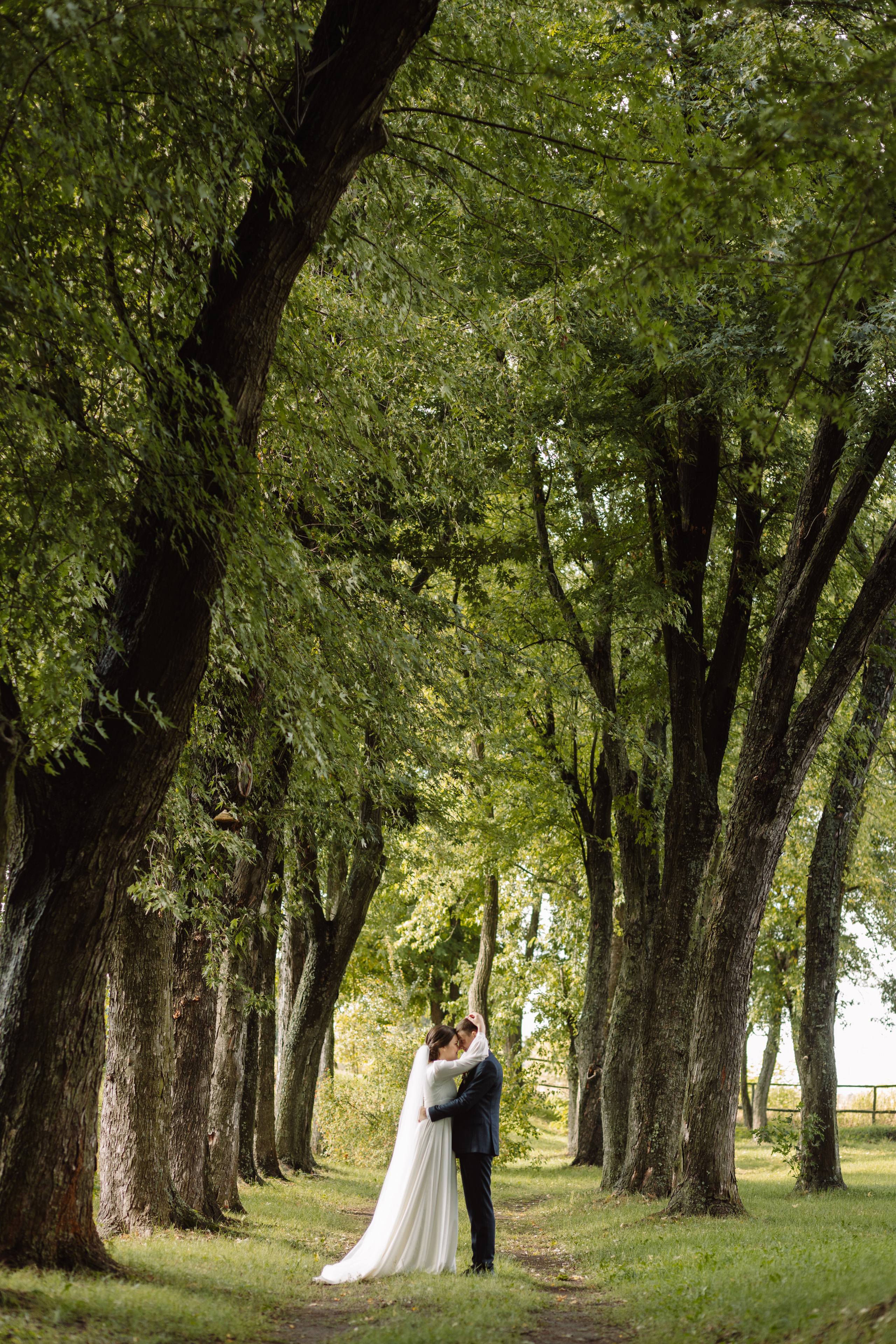 Анастасія & Дмитро. Весільний та сімейний фотограф у Харкові Ткаченко Світлана