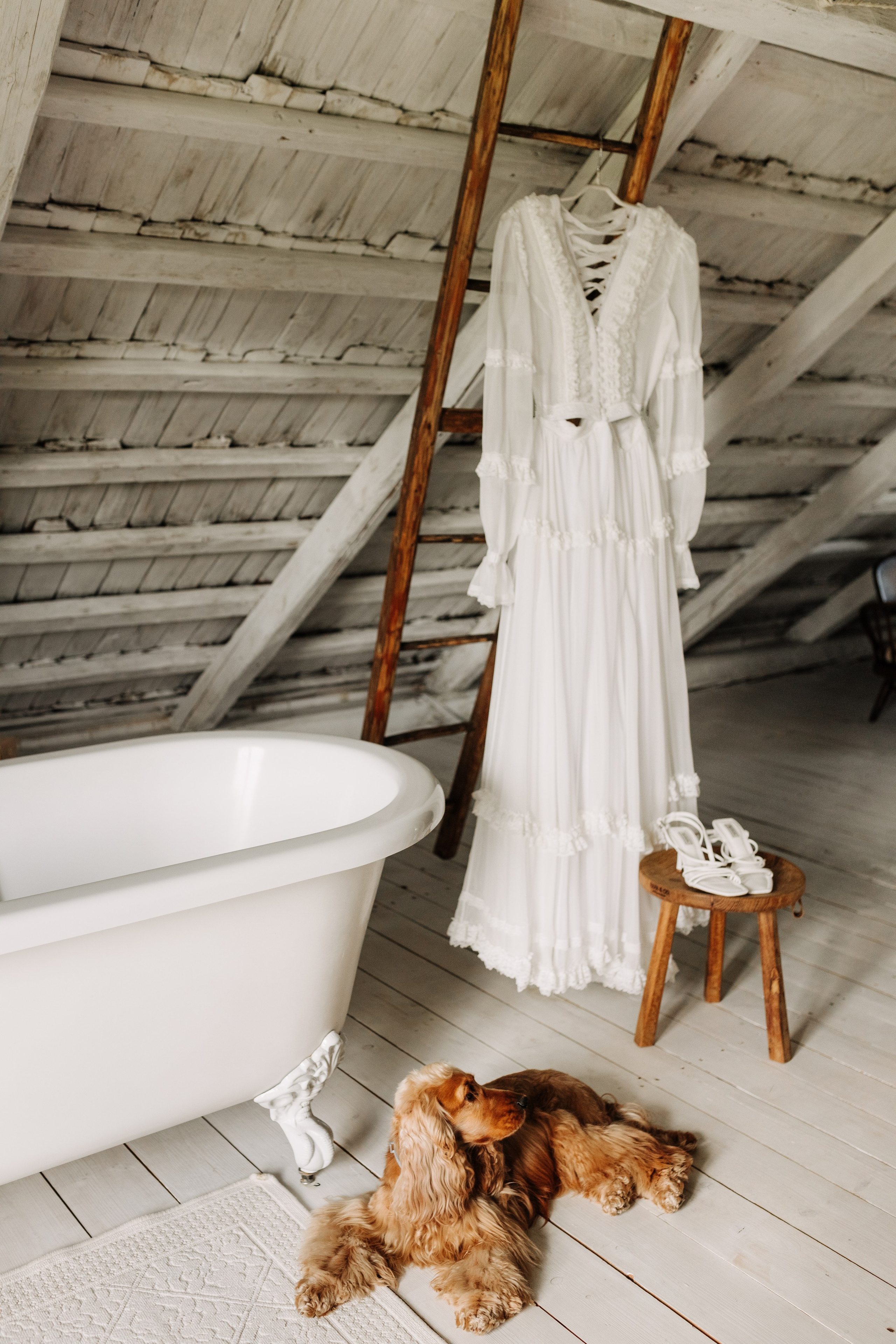 Юлія & Юрій. Весільний та сімейний фотограф у Харкові Ткаченко Світлана