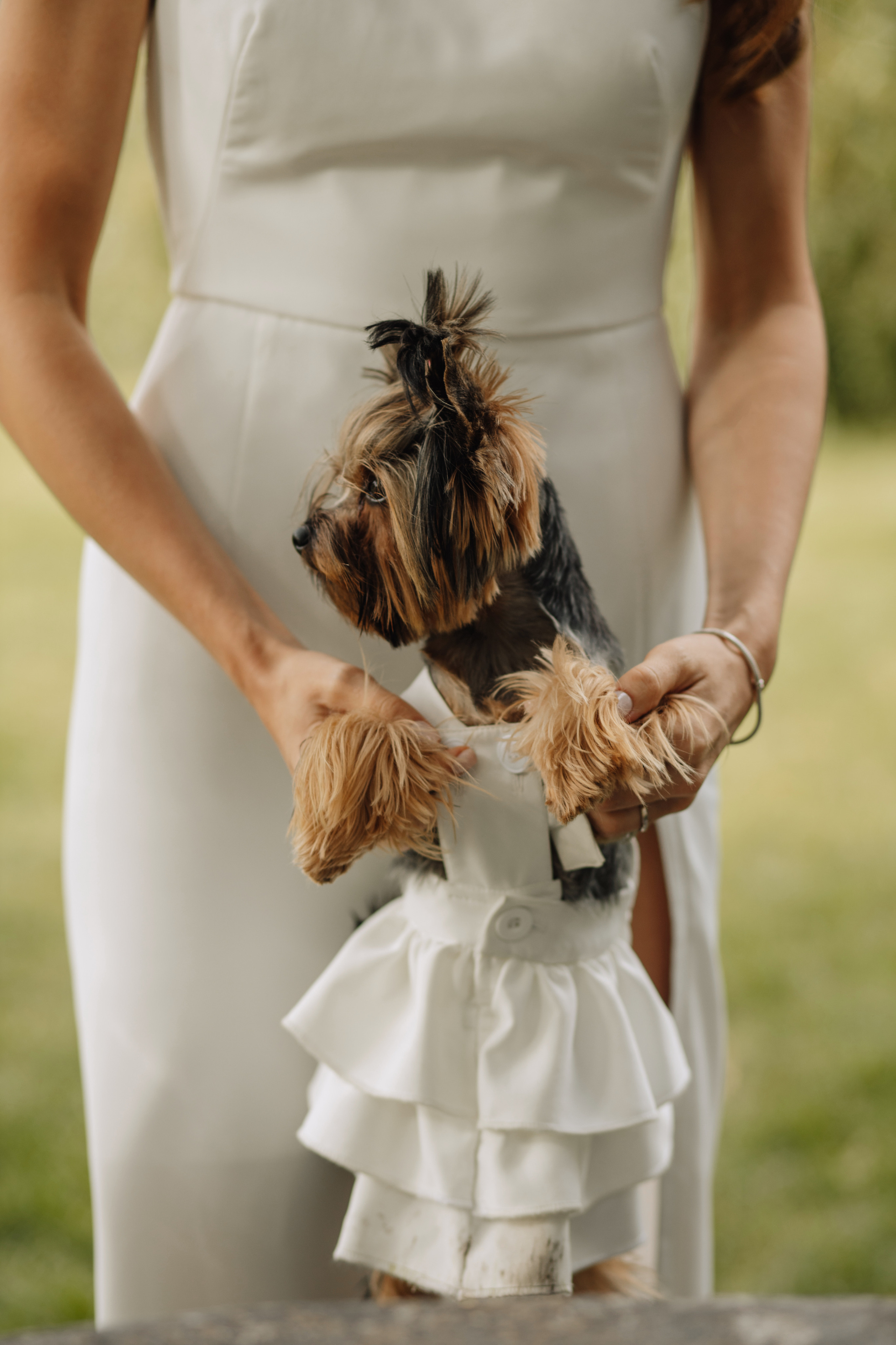 Анна & Назар. Весільний та сімейний фотограф у Харкові Ткаченко Світлана