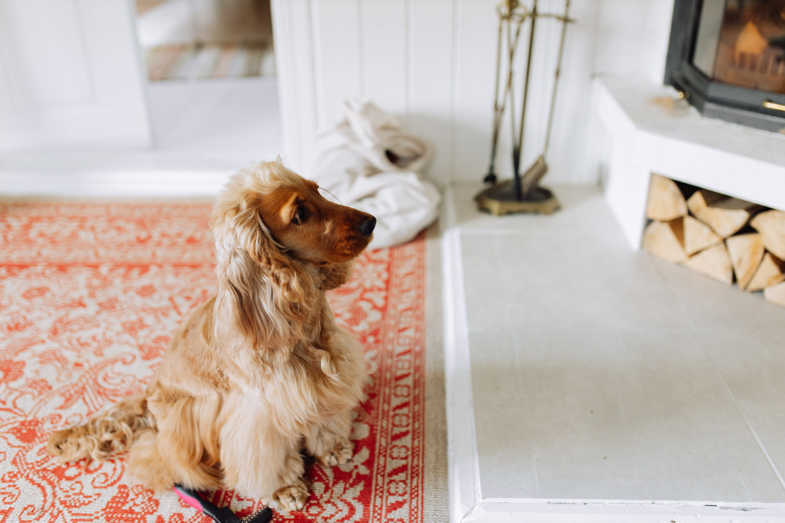 Юлія & Юрій. Весільний та сімейний фотограф у Харкові Ткаченко Світлана