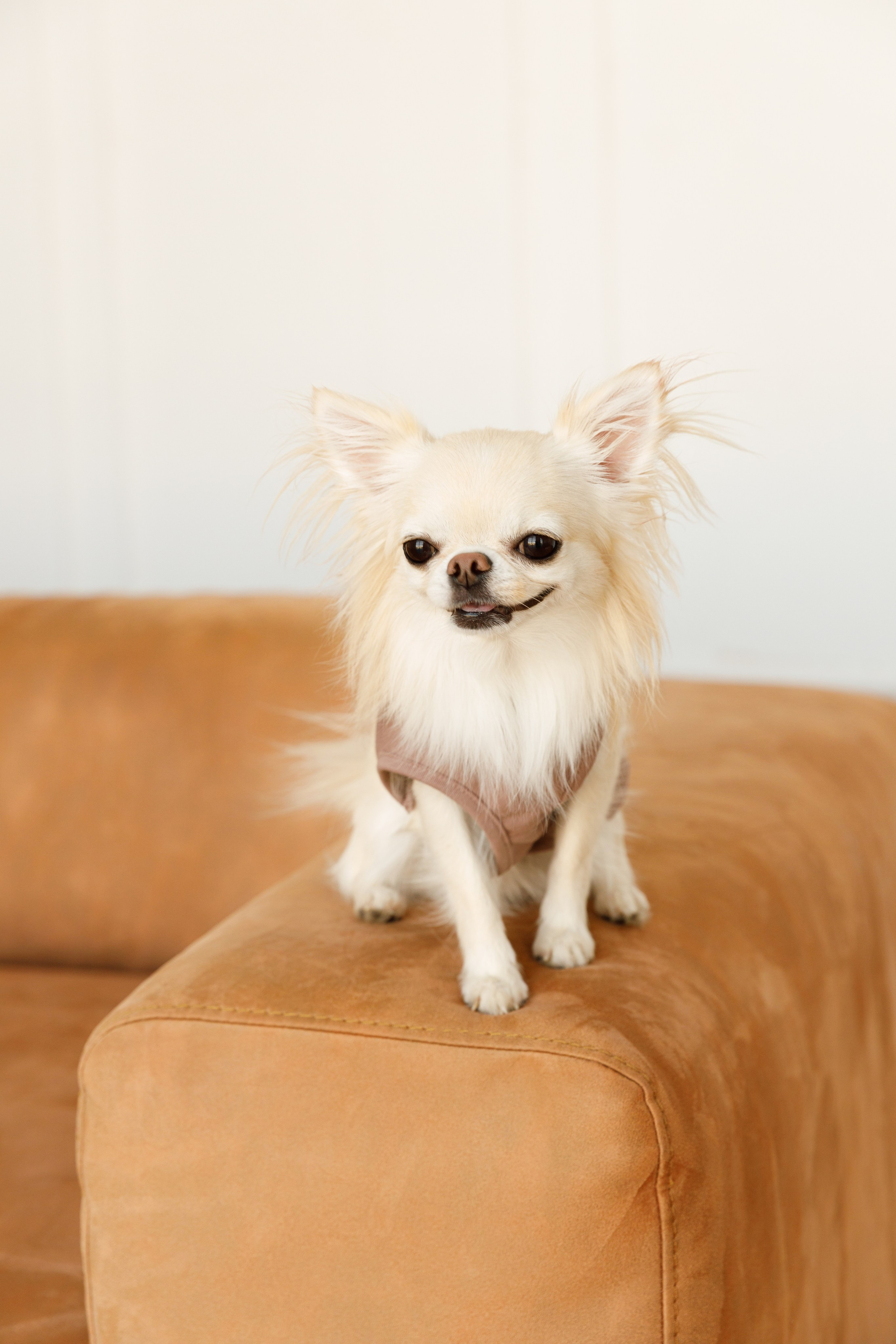 Ольга & Іван. Весільний та сімейний фотограф у Харкові Ткаченко Світлана