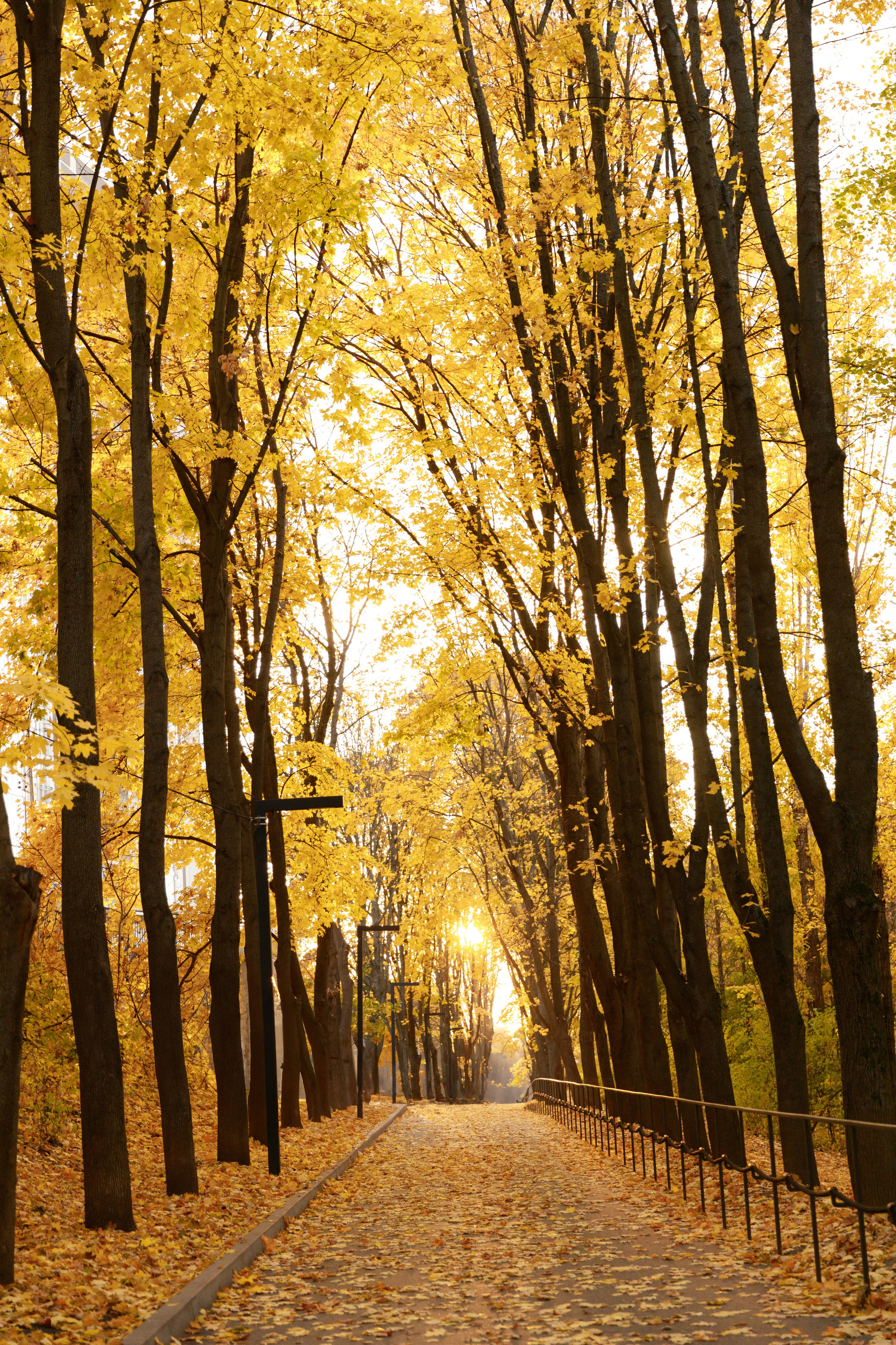 Настя & Вадим & Софія. Весільний та сімейний фотограф у Харкові Ткаченко Світлана