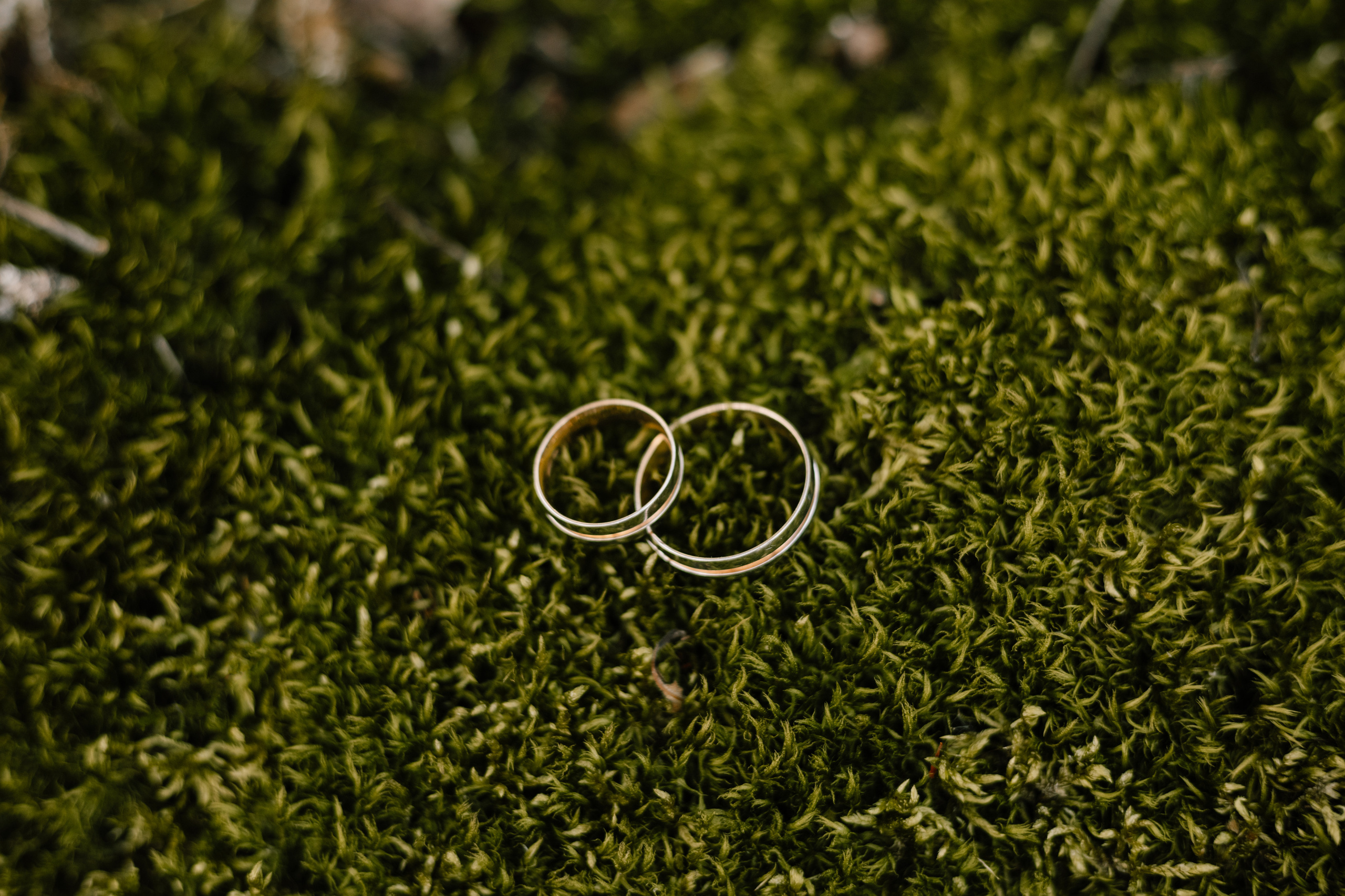 Настя & Влад. Весільний та сімейний фотограф у Харкові Ткаченко Світлана