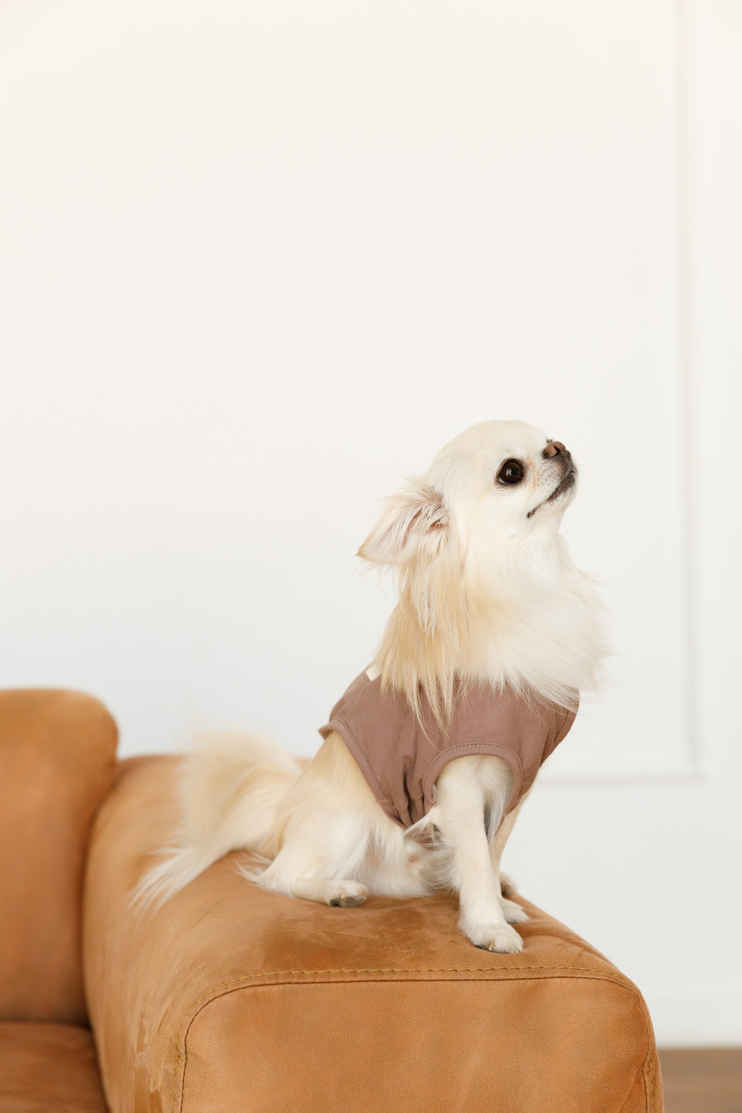 Ольга & Іван. Весільний та сімейний фотограф у Харкові Ткаченко Світлана