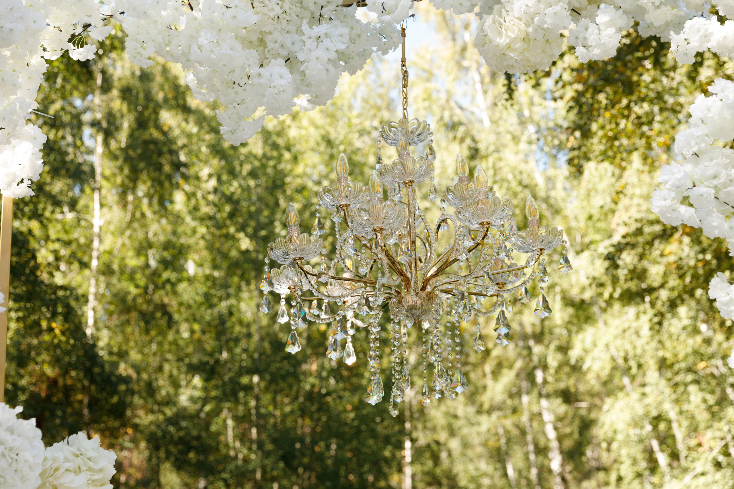 Аяз Джахан. Весільний та сімейний фотограф у Харкові Ткаченко Світлана