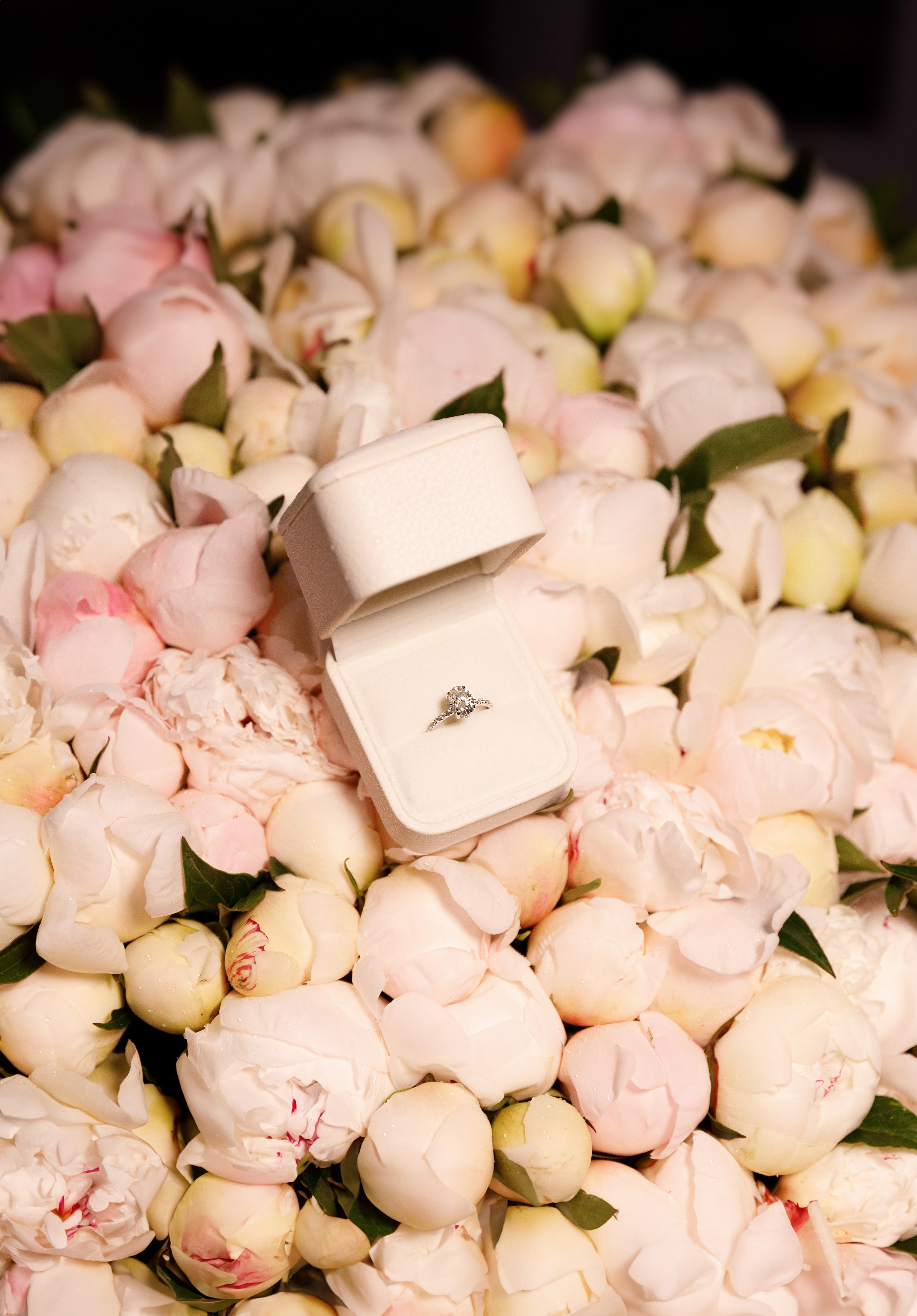 Аяз & Джахан. Весільний та сімейний фотограф у Харкові Ткаченко Світлана