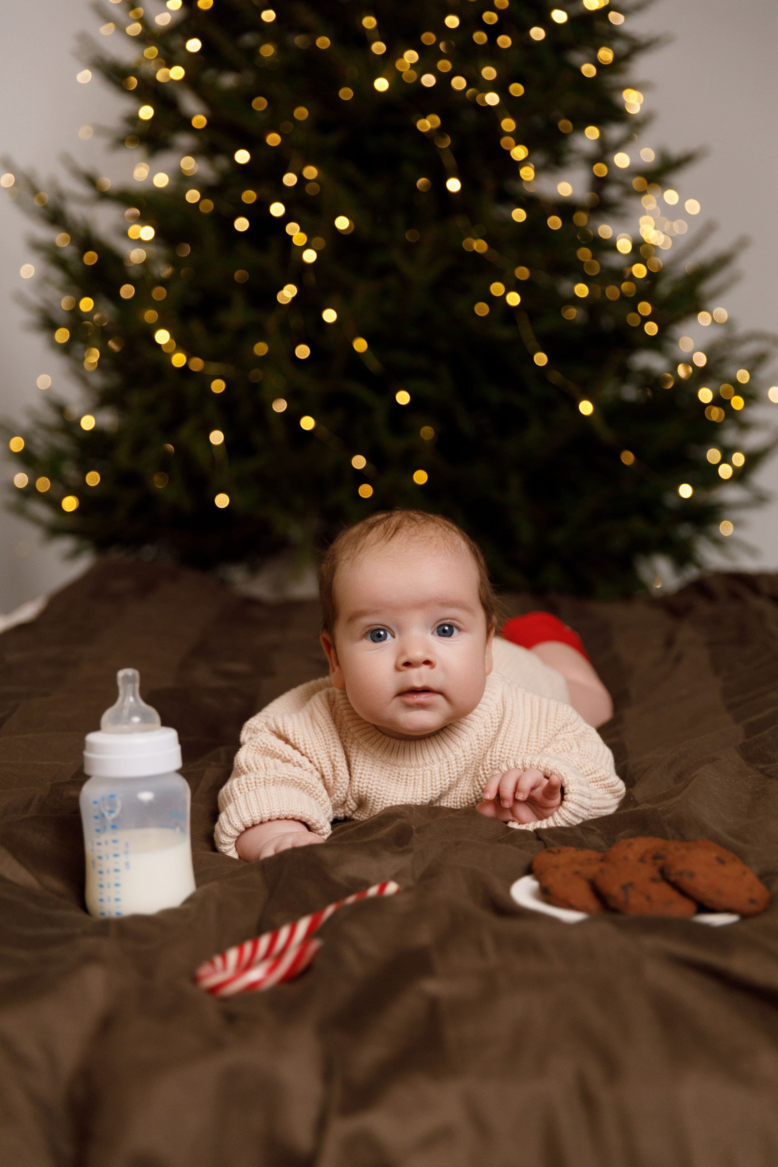 Віка & Влад & Артур. Весільний та сімейний фотограф у Харкові Ткаченко Світлана