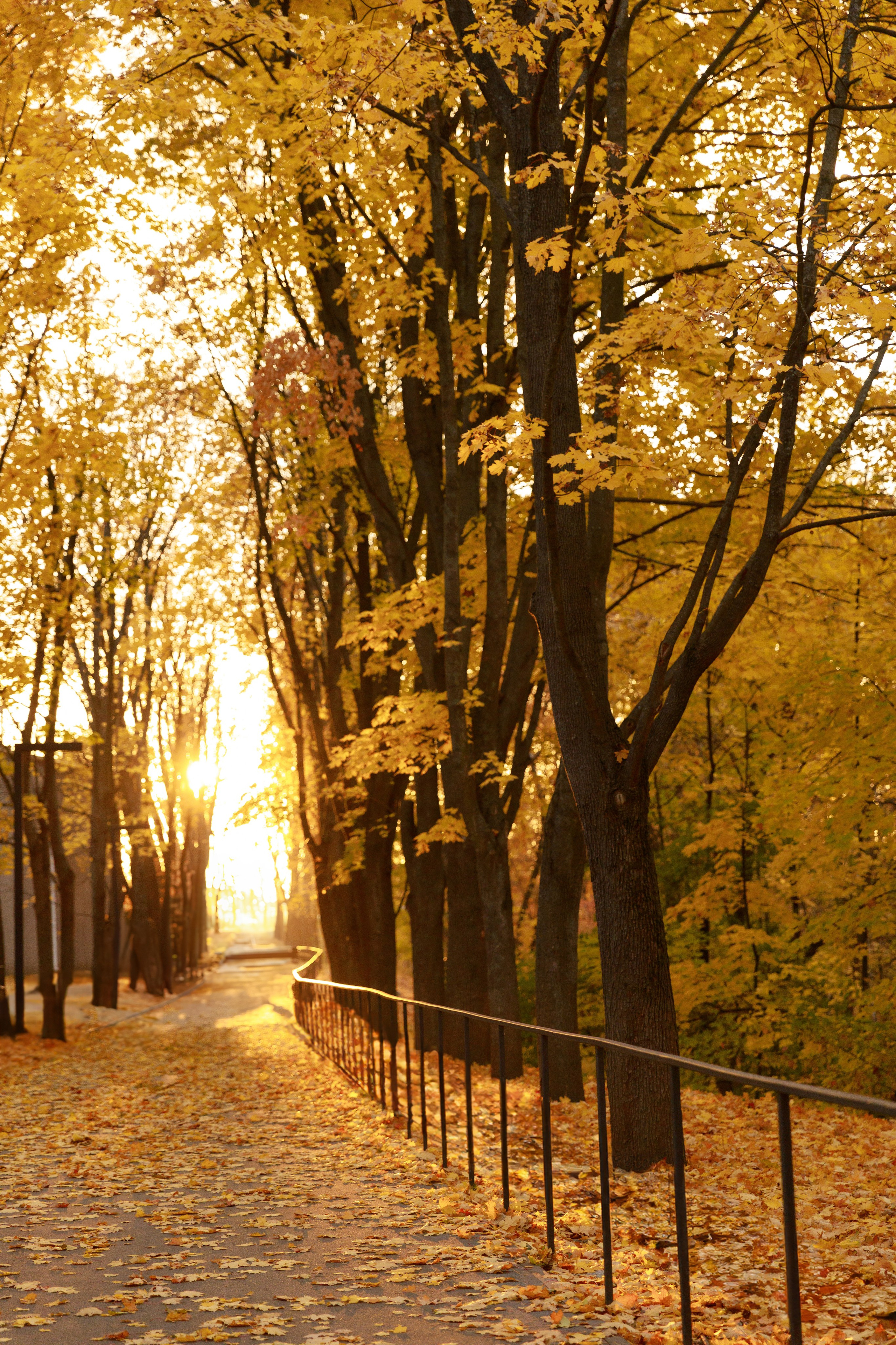 Настя & Вадим & Софія. Весільний та сімейний фотограф у Харкові Ткаченко Світлана