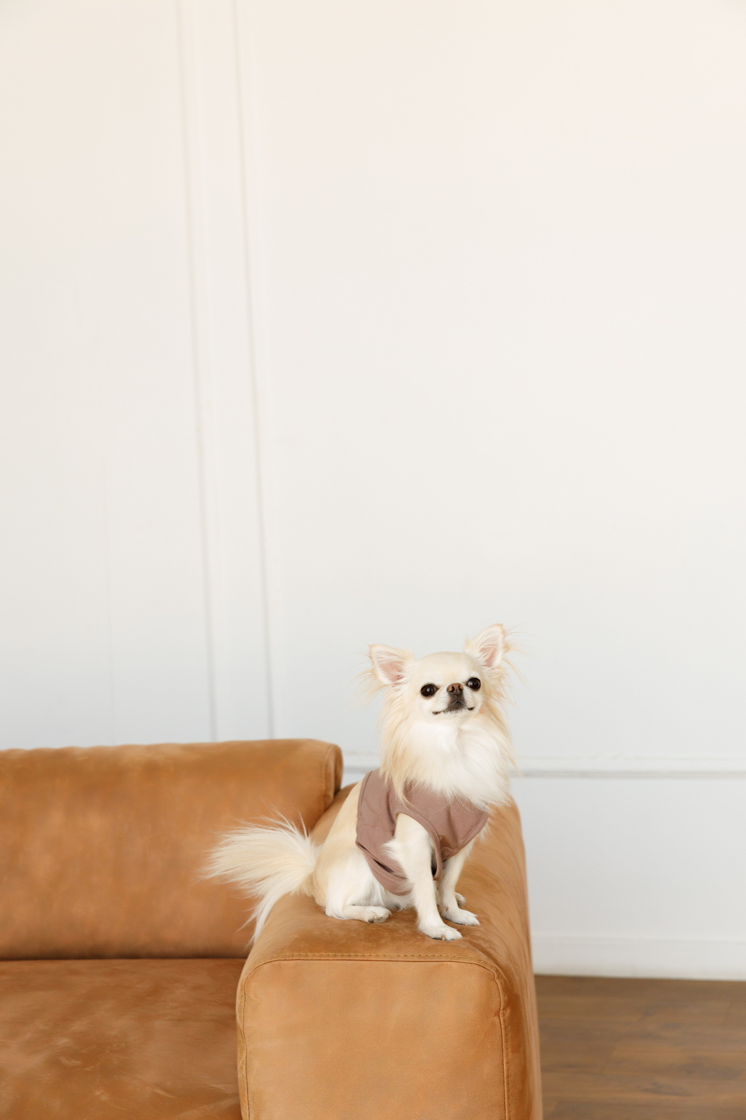 Ольга & Іван. Весільний та сімейний фотограф у Харкові Ткаченко Світлана