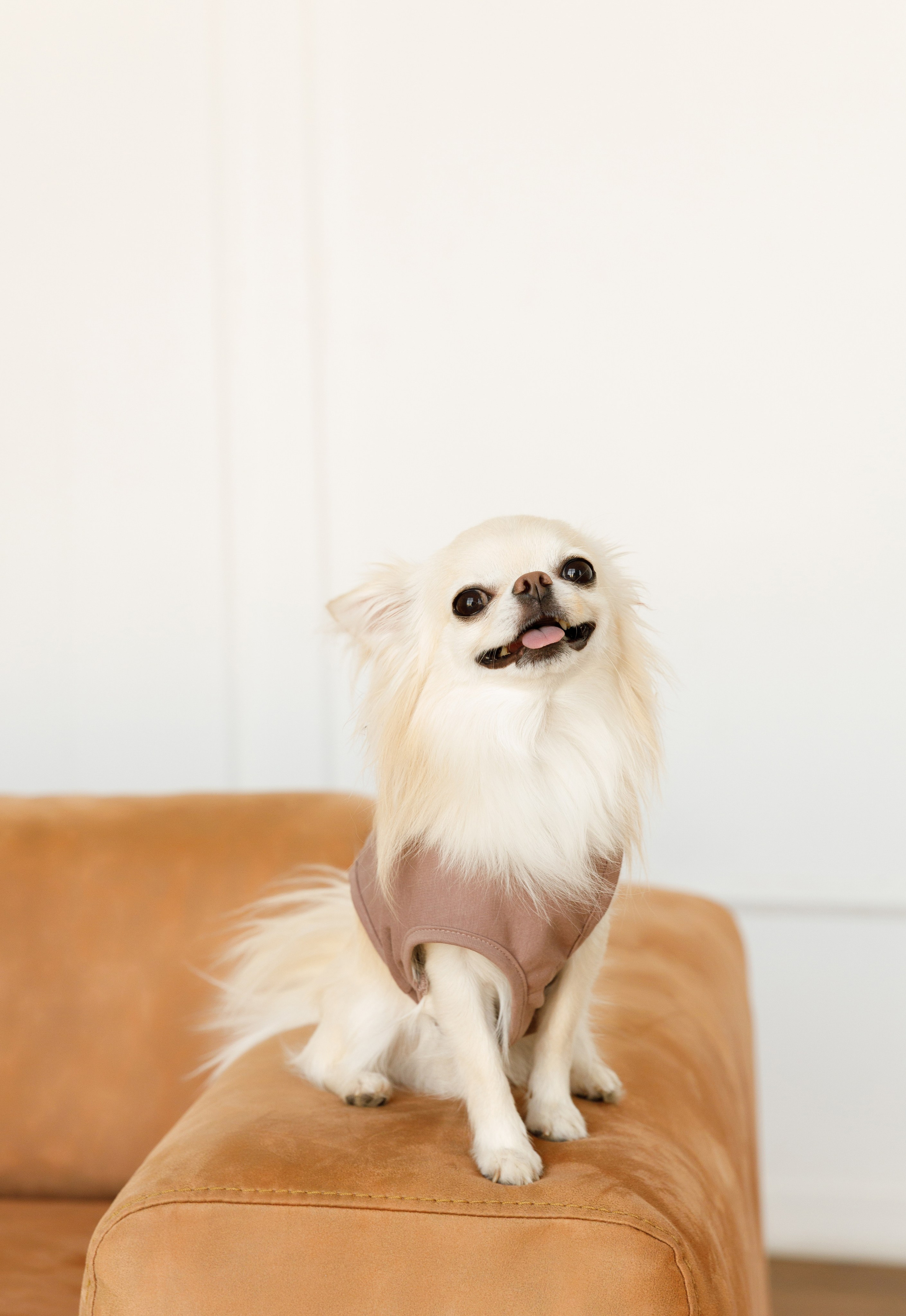 Ольга & Іван. Весільний та сімейний фотограф у Харкові Ткаченко Світлана