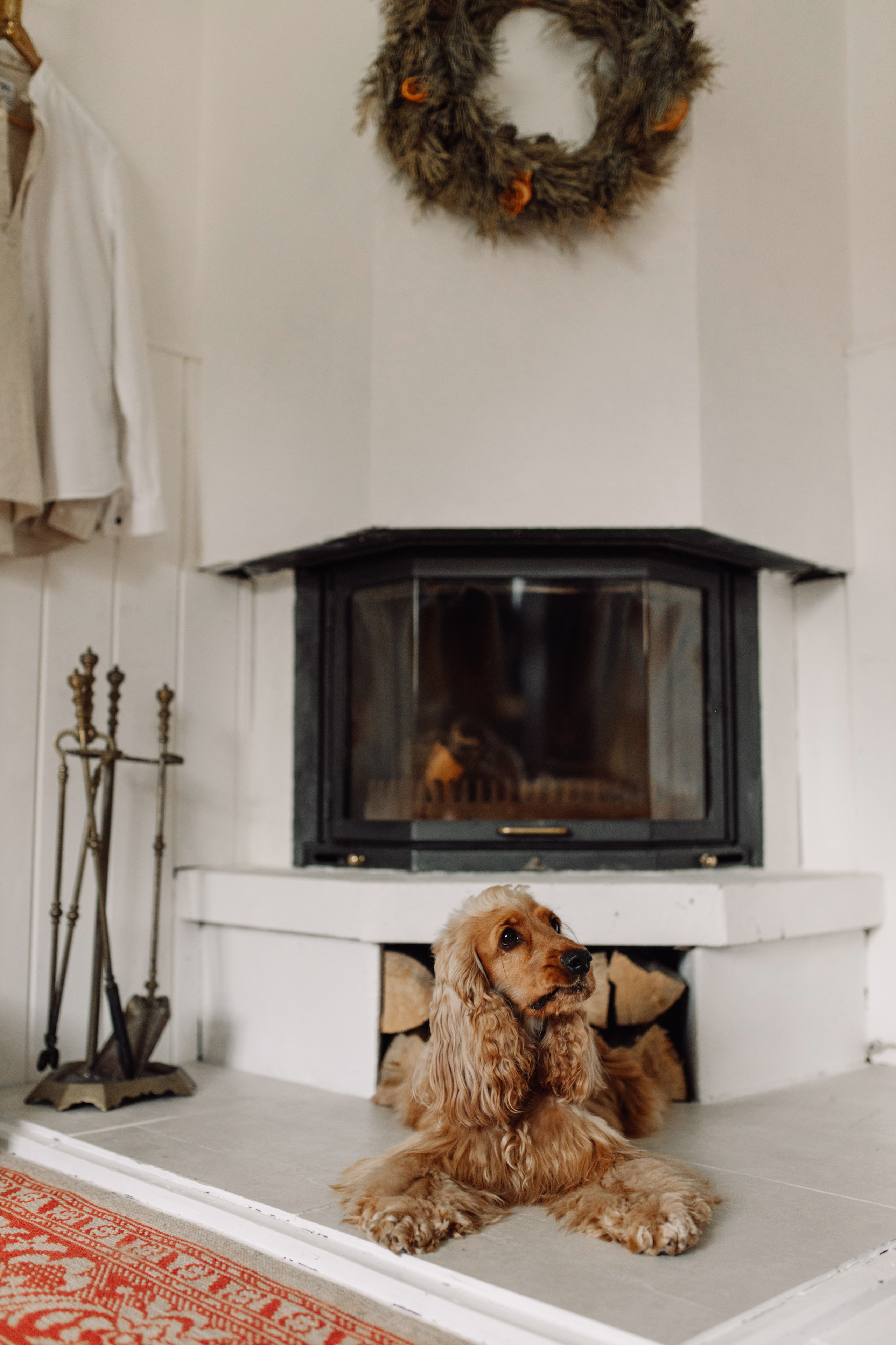 Юлія & Юрій. Весільний та сімейний фотограф у Харкові Ткаченко Світлана