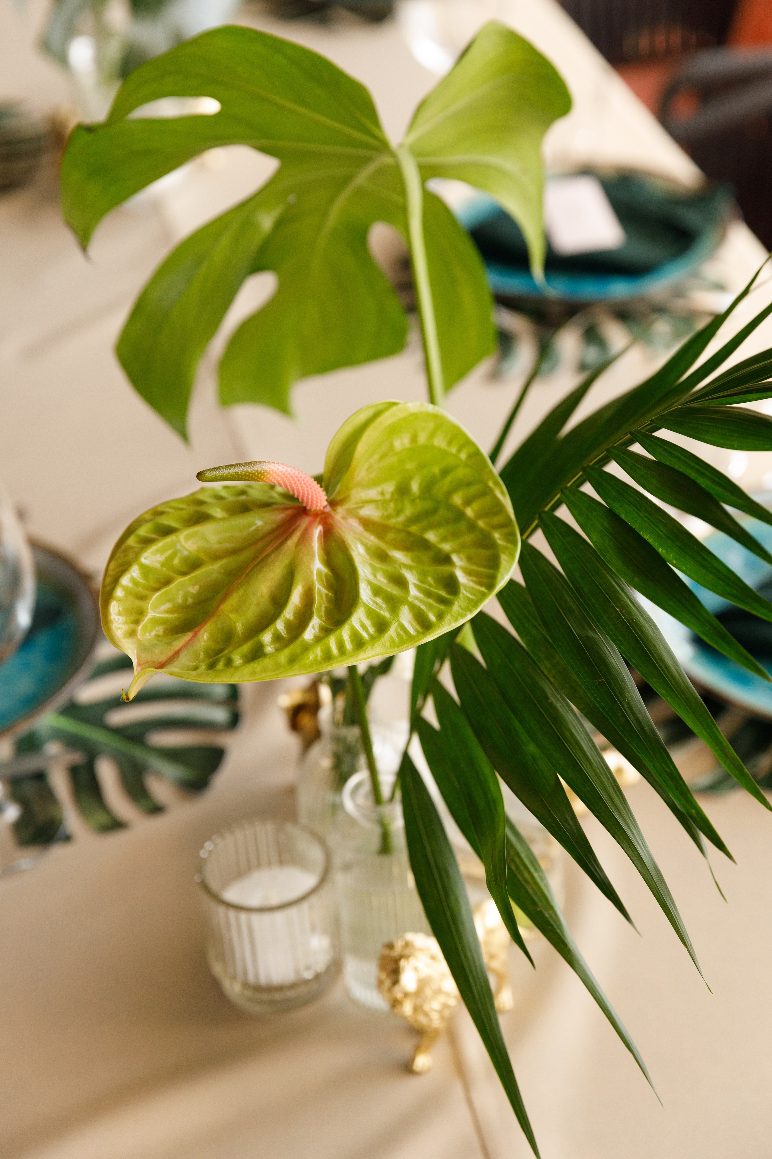 Ігнат - 1 рік. Весільний та сімейний фотограф у Харкові Ткаченко Світлана