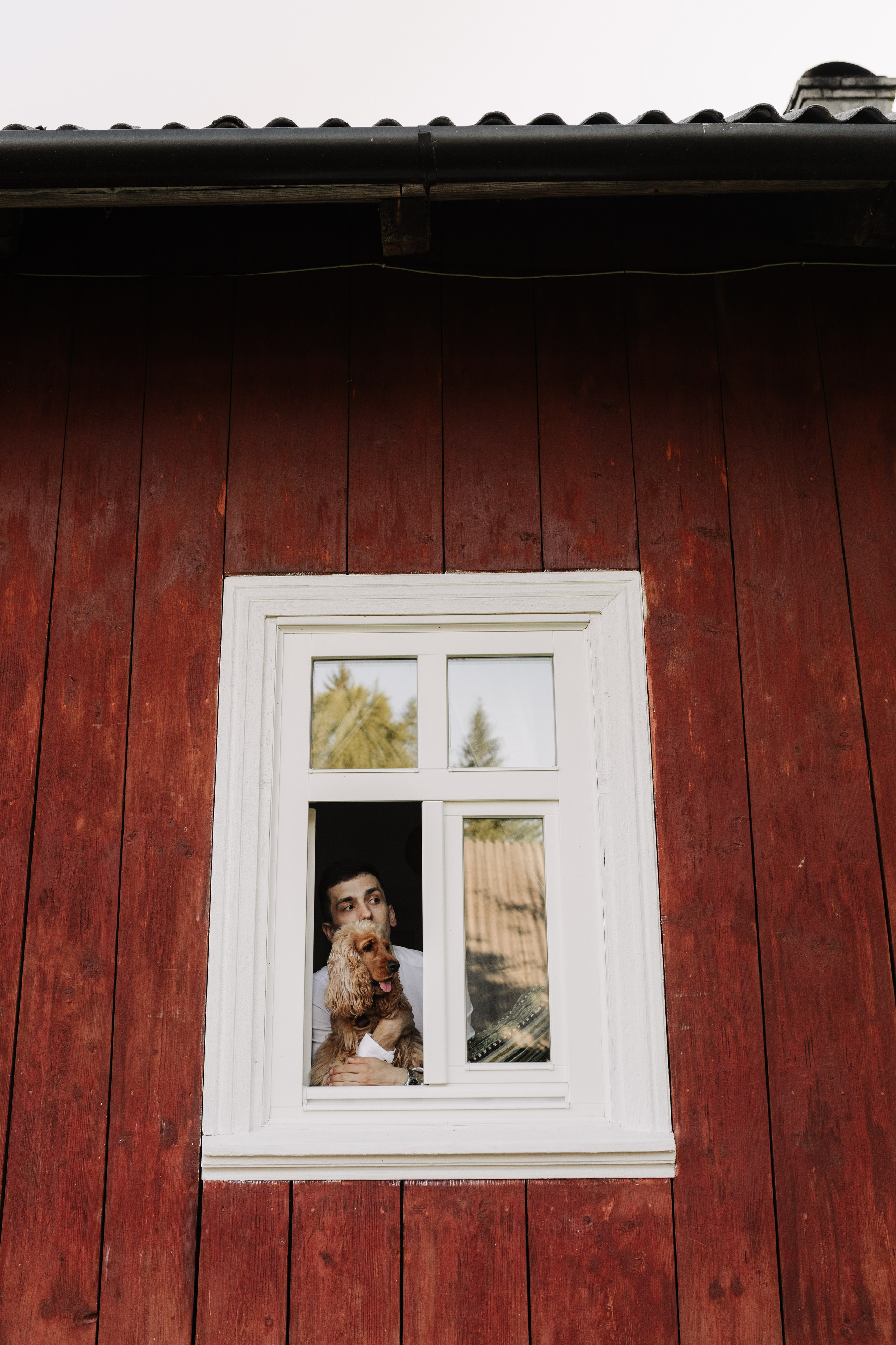 Юлія & Юрій. Весільний та сімейний фотограф у Харкові Ткаченко Світлана