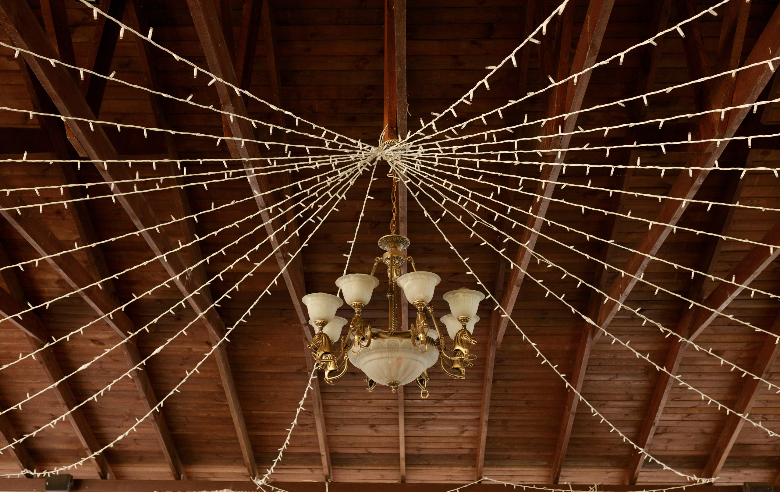 Поліна & Карен. Весільний та сімейний фотограф у Харкові Ткаченко Світлана