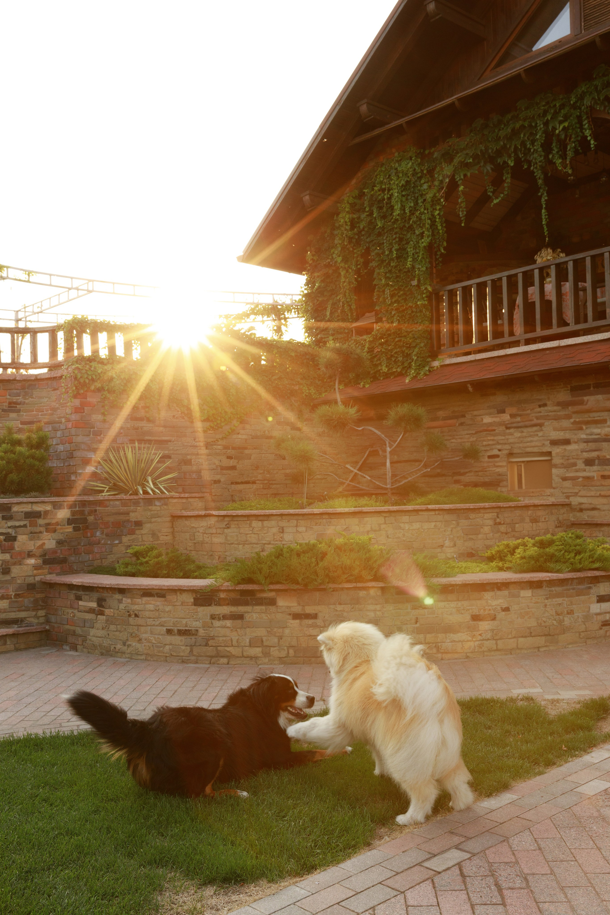 Анастасія & Дмитро & Михайло. Весільний та сімейний фотограф у Харкові Ткаченко Світлана