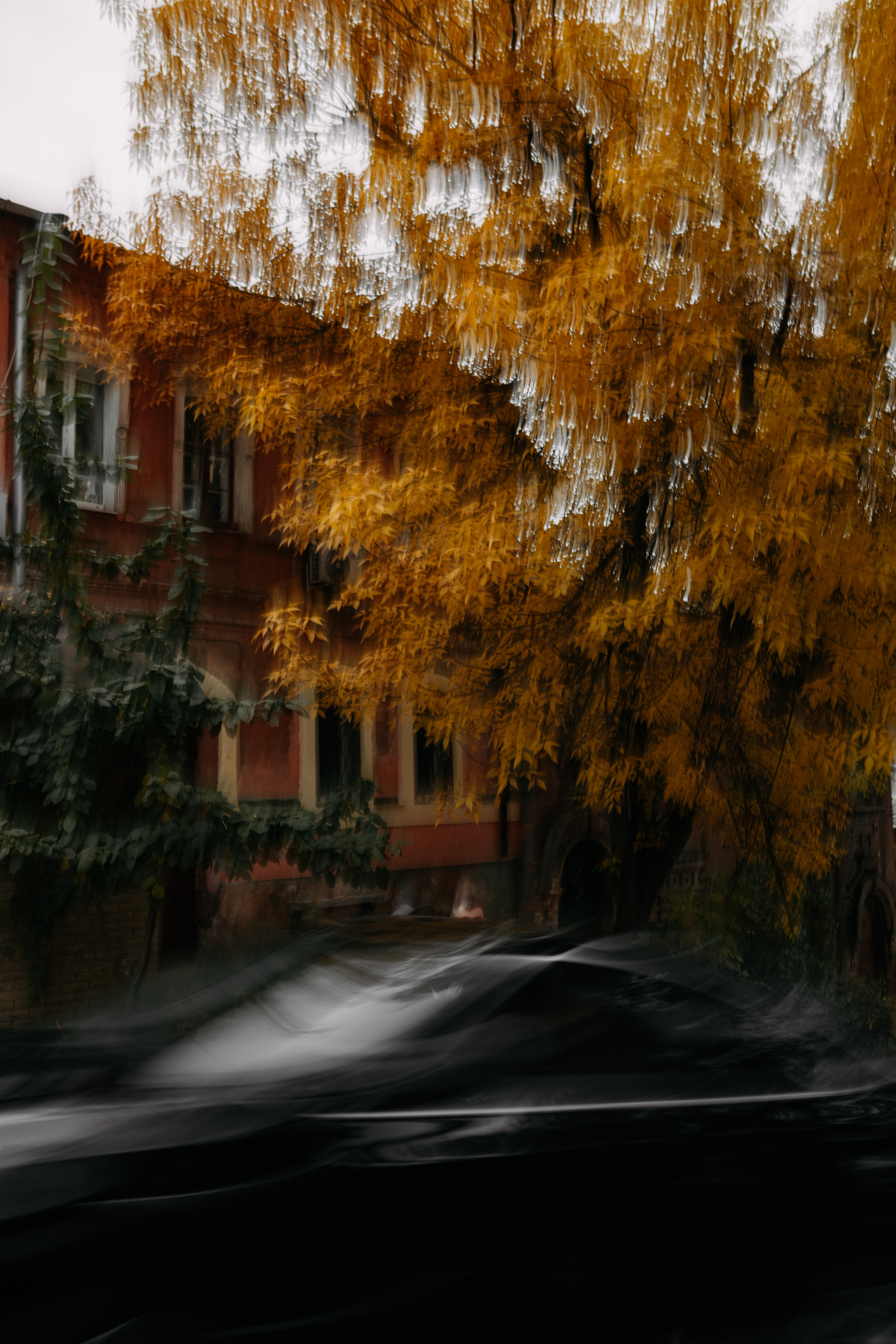 Таня & Андрій. Весільний та сімейний фотограф у Харкові Ткаченко Світлана