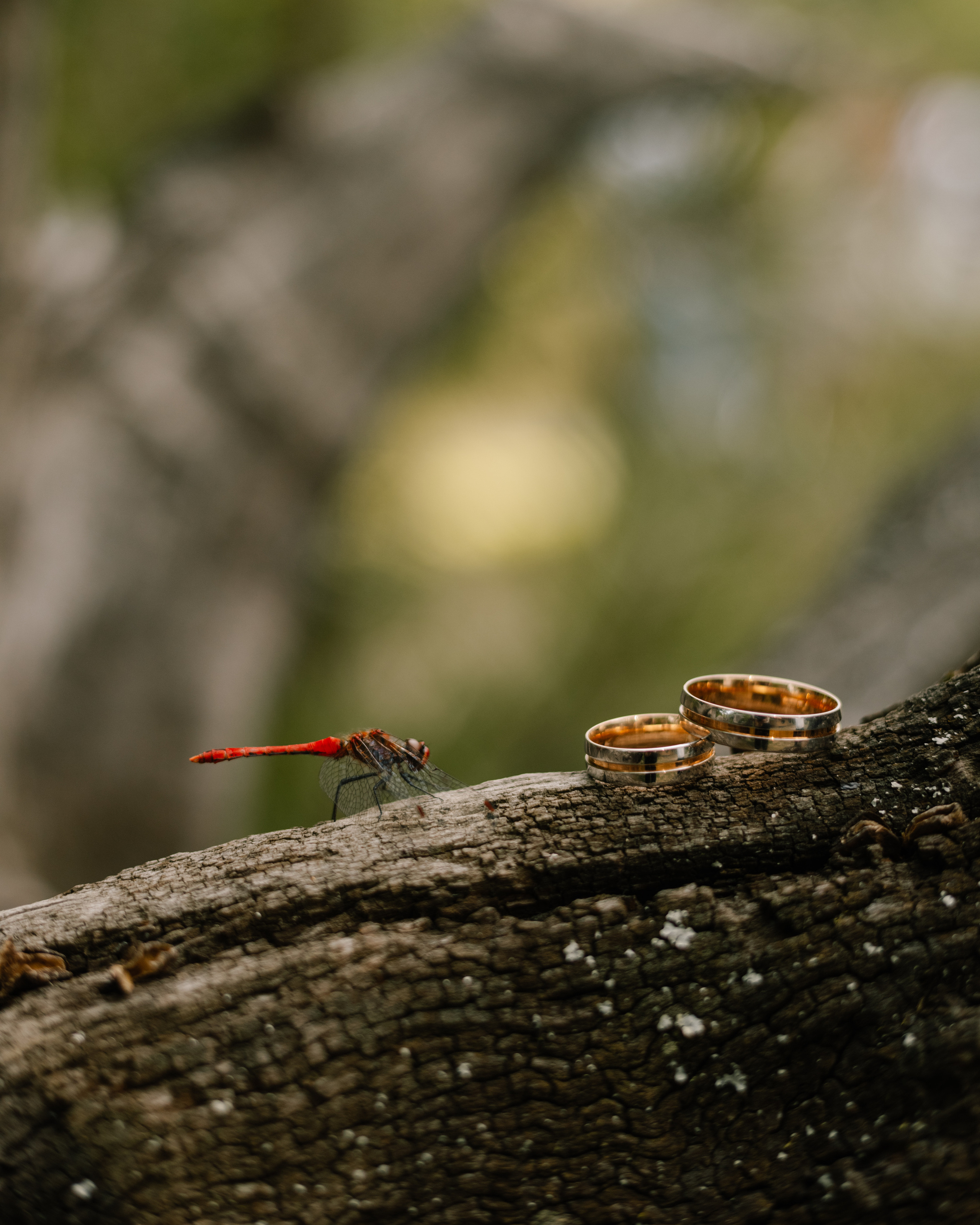 Настя & Влад. Весільний та сімейний фотограф у Харкові Ткаченко Світлана