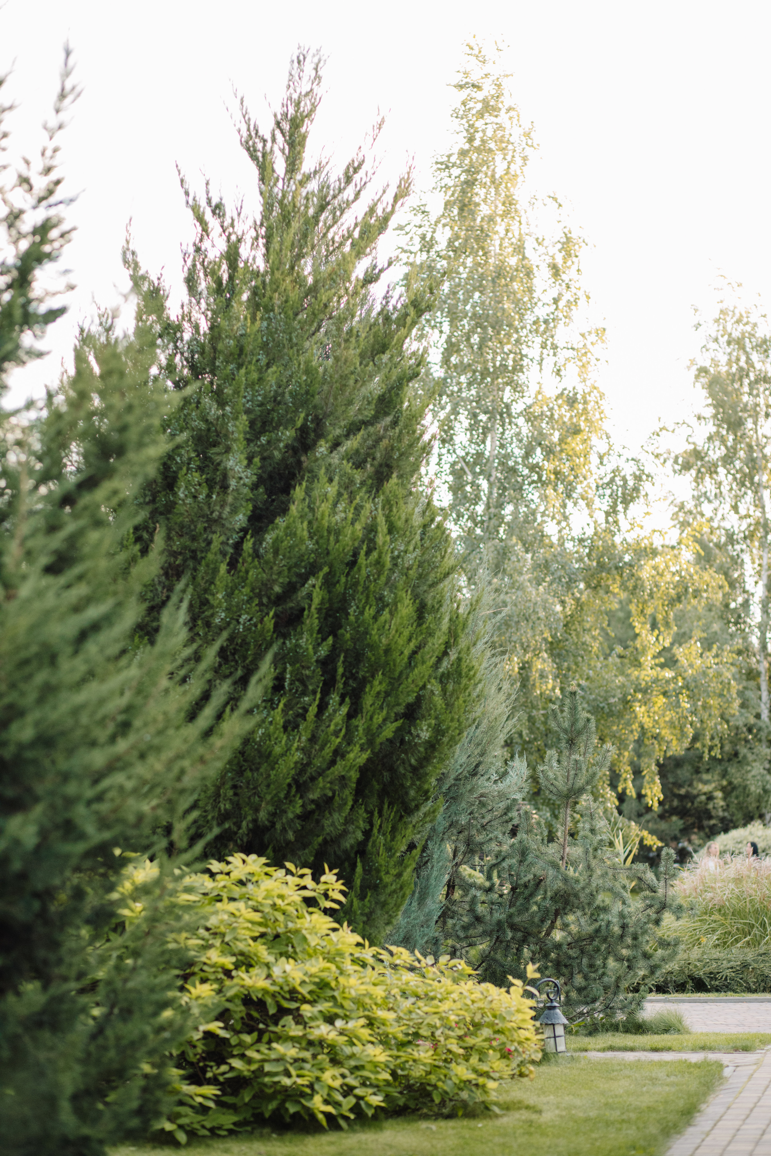 Анна & Назар. Весільний та сімейний фотограф у Харкові Ткаченко Світлана