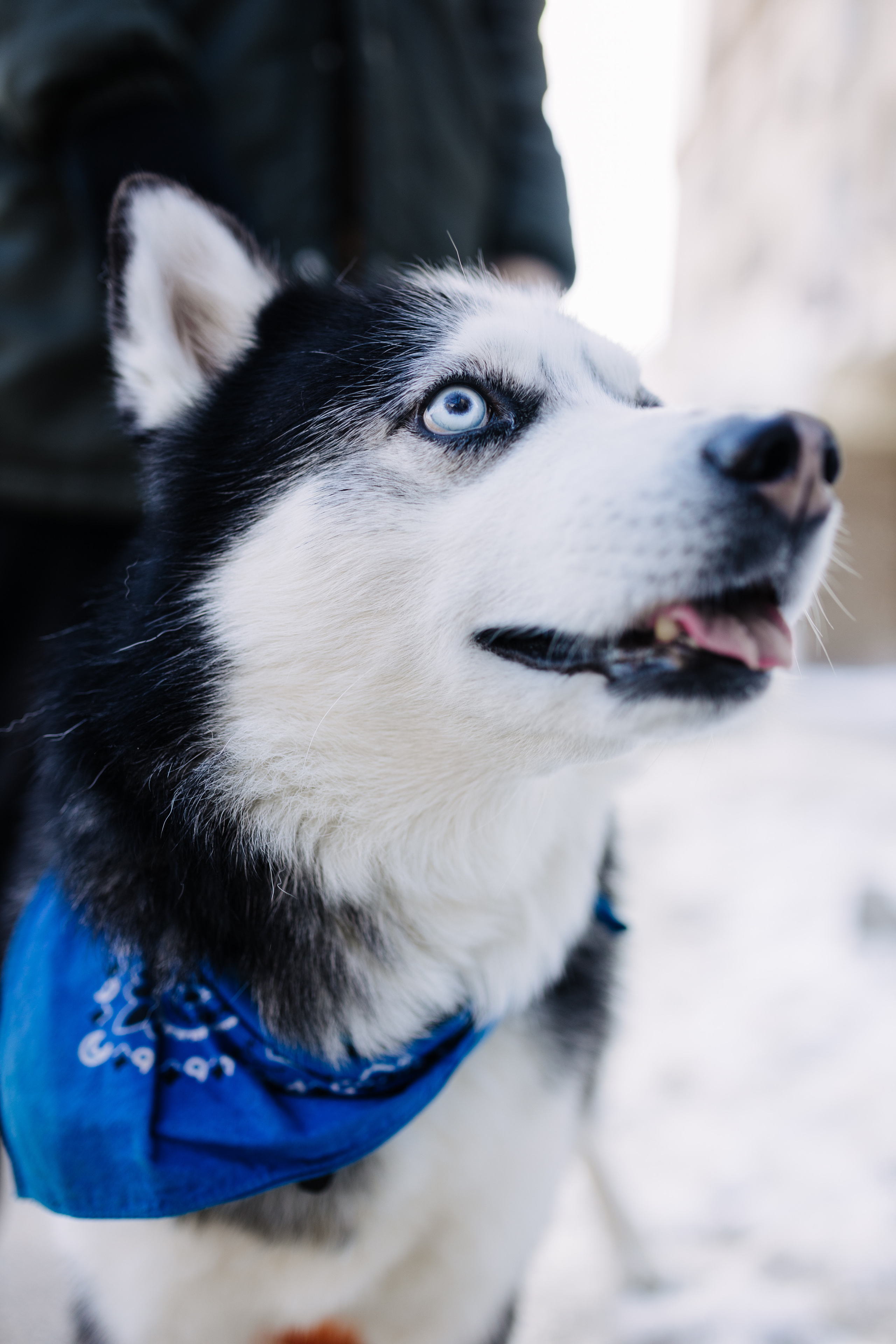 Альона & Кирил. Весільний та сімейний фотограф у Харкові Ткаченко Світлана