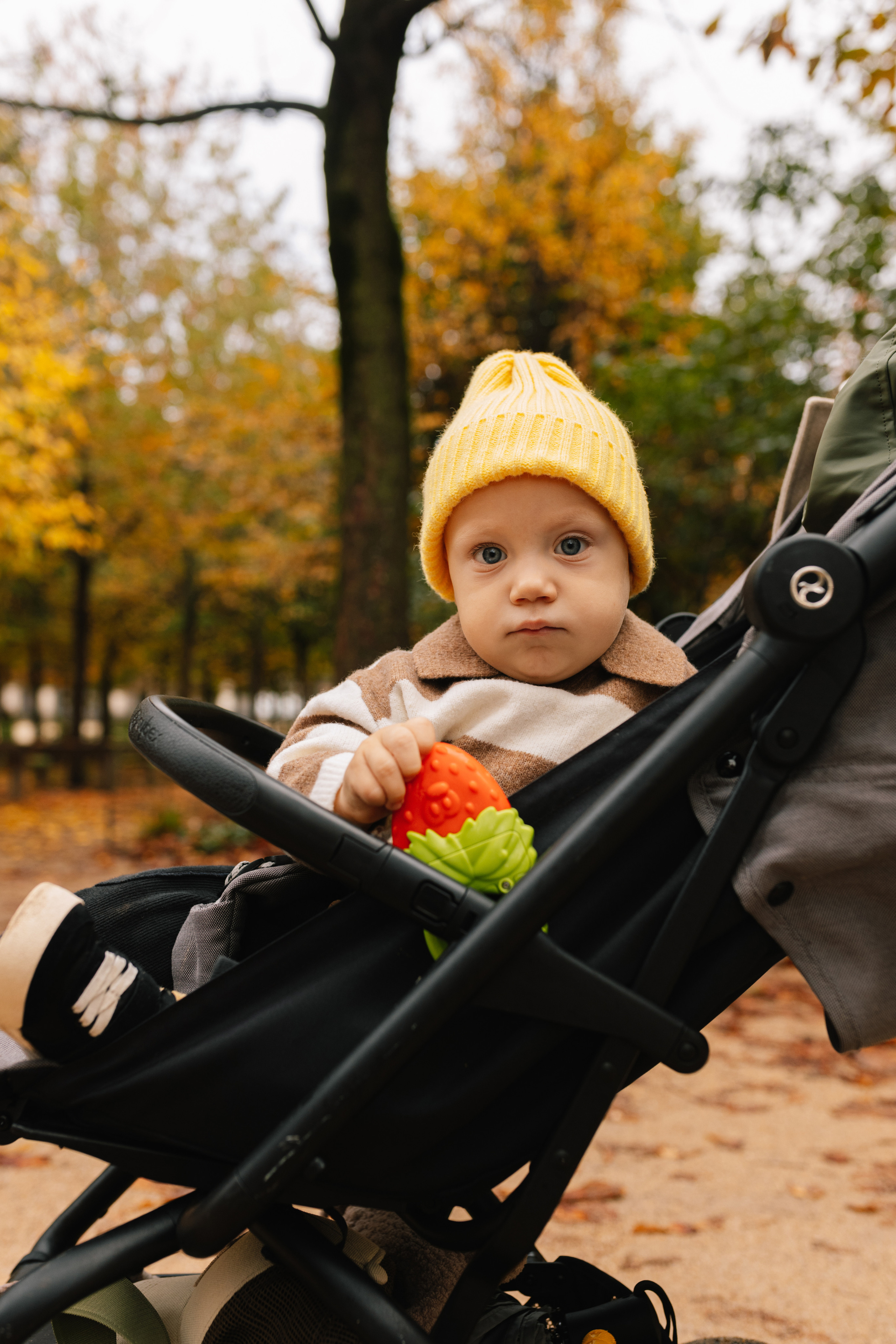 Саша & Матвій & Саша. Весільний та сімейний фотограф у Харкові Ткаченко Світлана