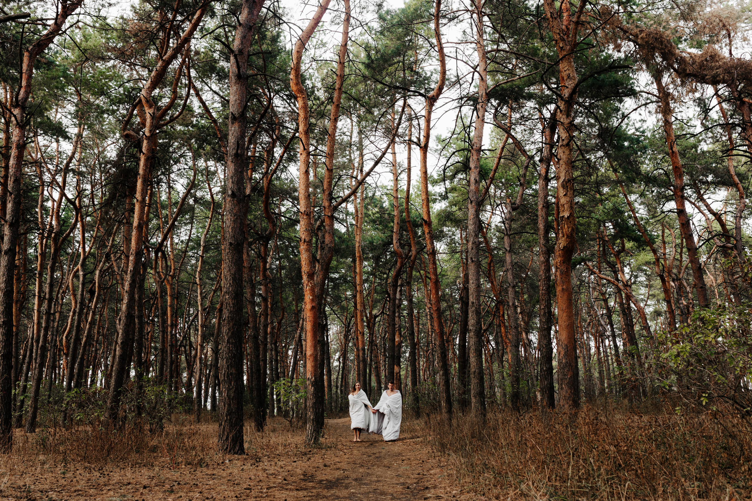 Катя & Алексій. Весільний та сімейний фотограф у Харкові Ткаченко Світлана