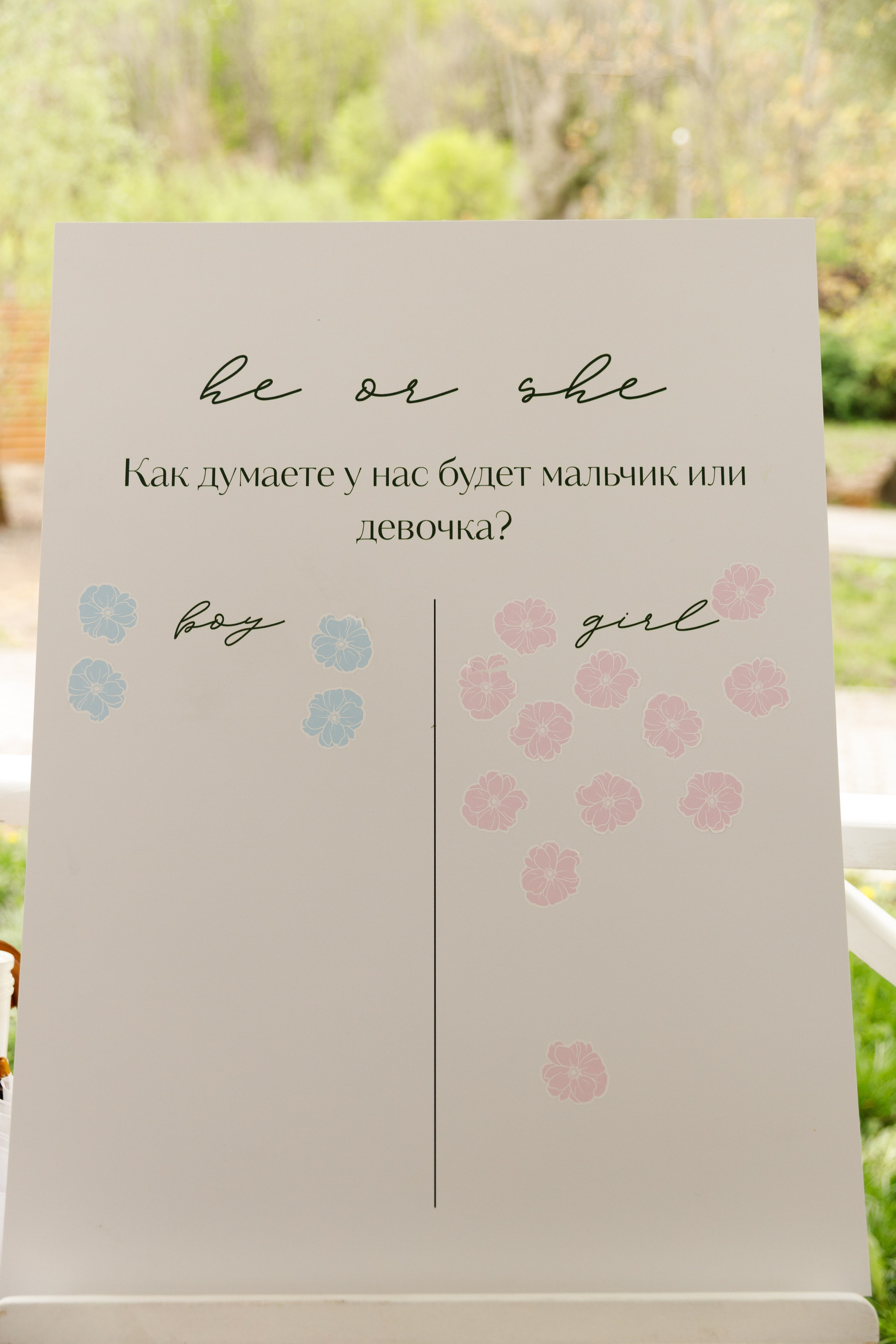 Аліна Костя - Gender party. Весільний та сімейний фотограф у Харкові Ткаченко Світлана