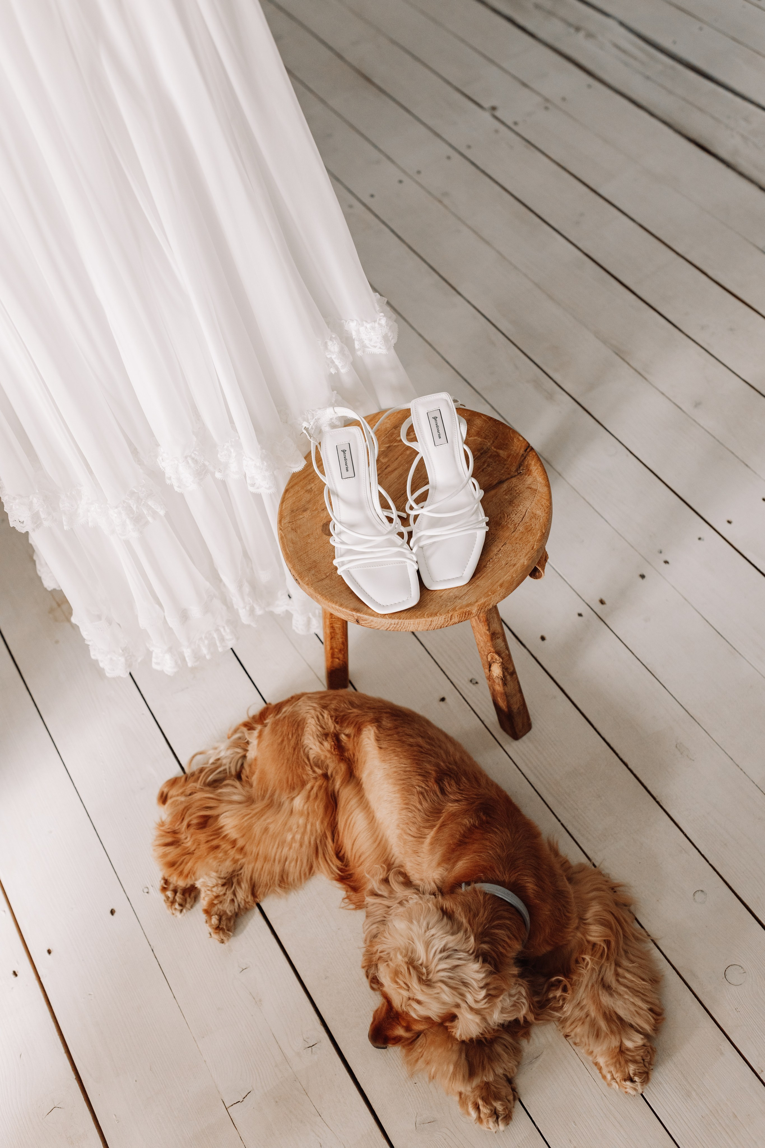 Юлія & Юрій. Весільний та сімейний фотограф у Харкові Ткаченко Світлана