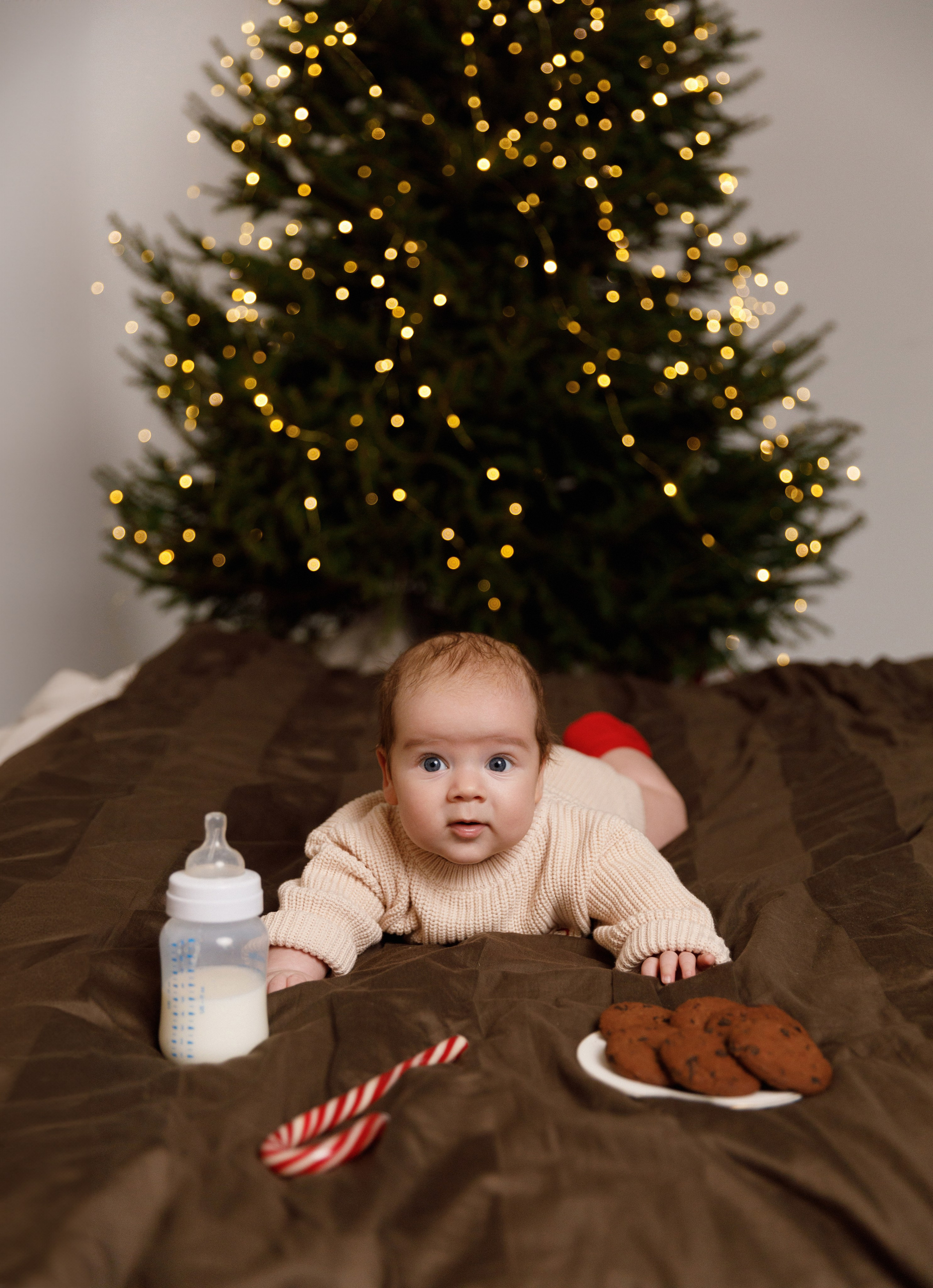 Віка & Влад & Артур. Весільний та сімейний фотограф у Харкові Ткаченко Світлана