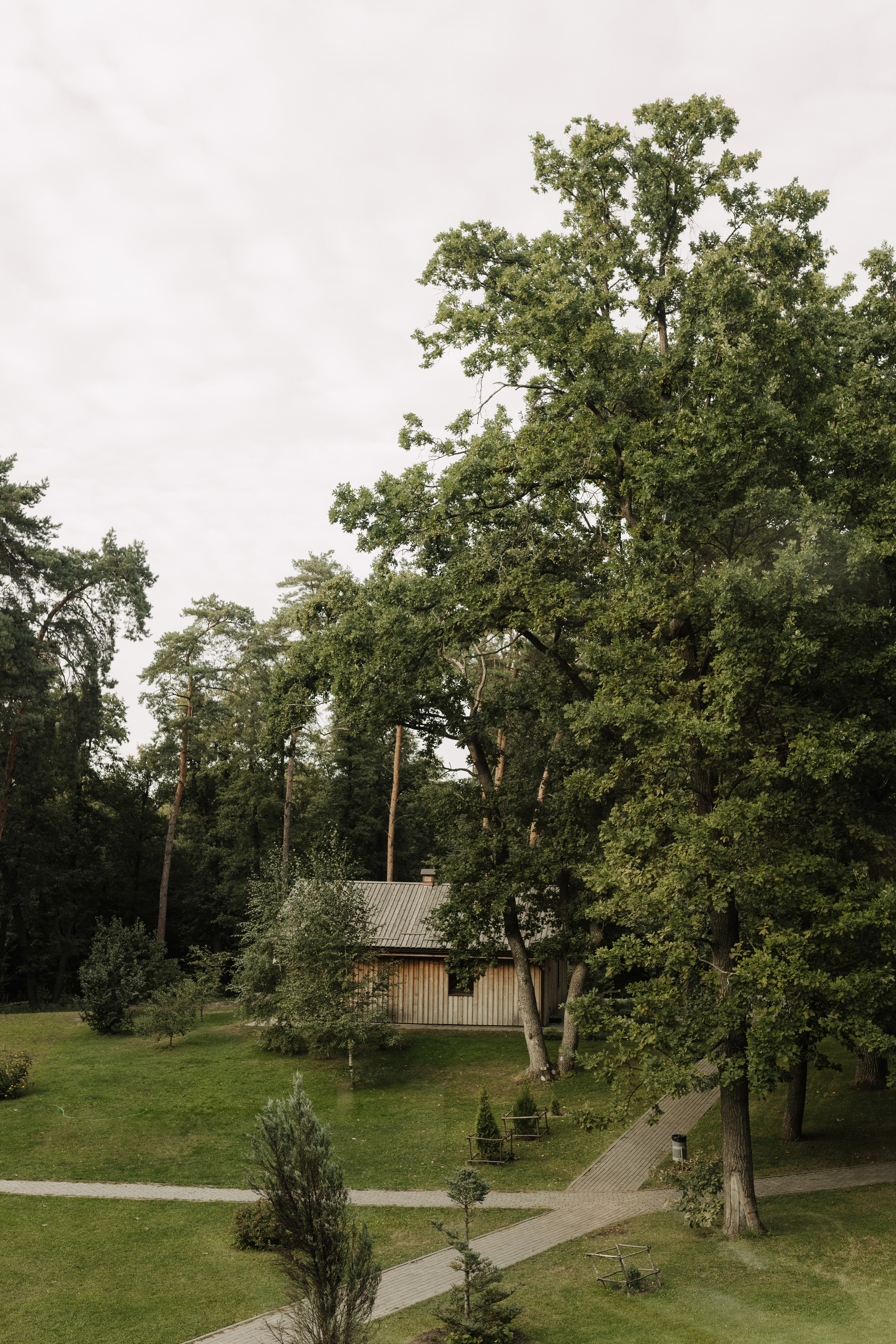 Віка & Максим. Весільний та сімейний фотограф у Харкові Ткаченко Світлана