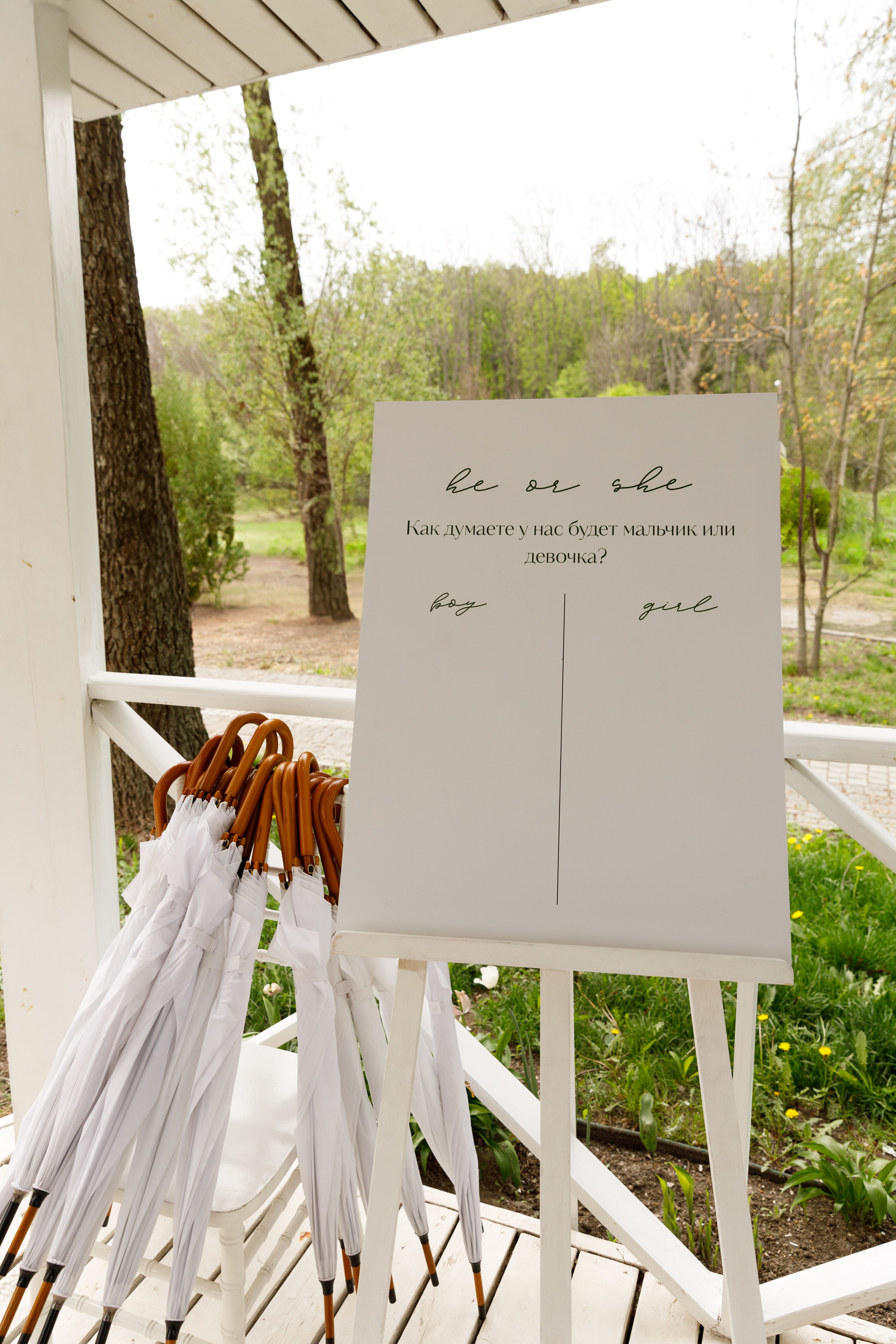 Аліна Костя - Gender party. Весільний та сімейний фотограф у Харкові Ткаченко Світлана