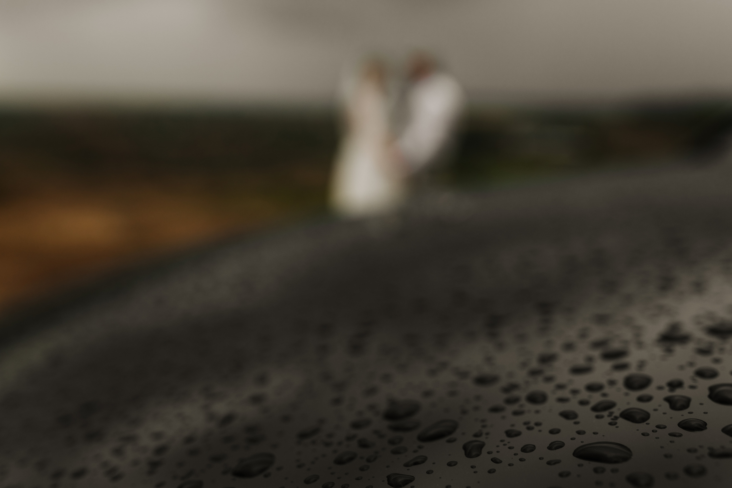 Яна & Іван. Весільний та сімейний фотограф у Харкові Ткаченко Світлана