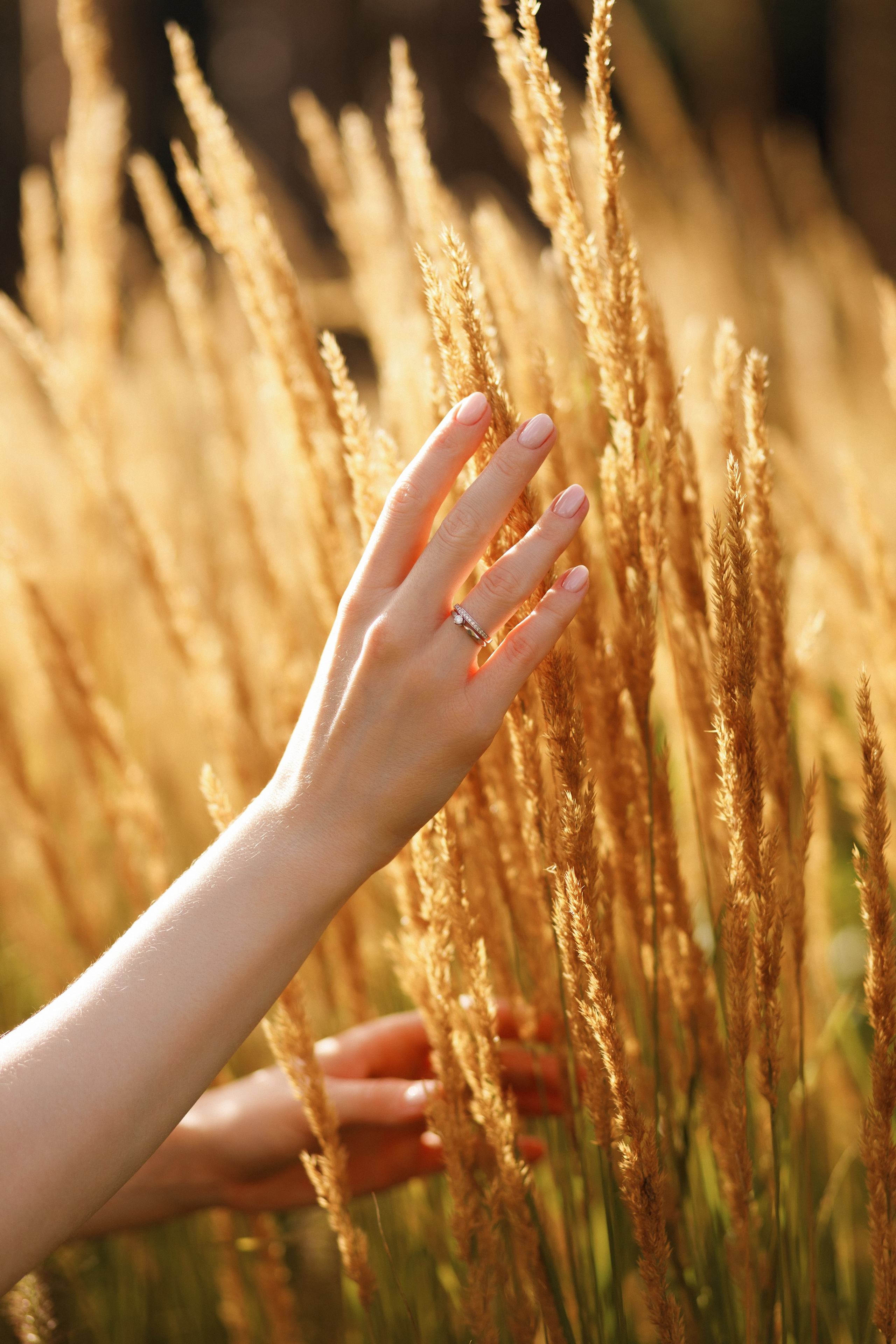 Альона & Андрій. Весільний та сімейний фотограф у Харкові Ткаченко Світлана
