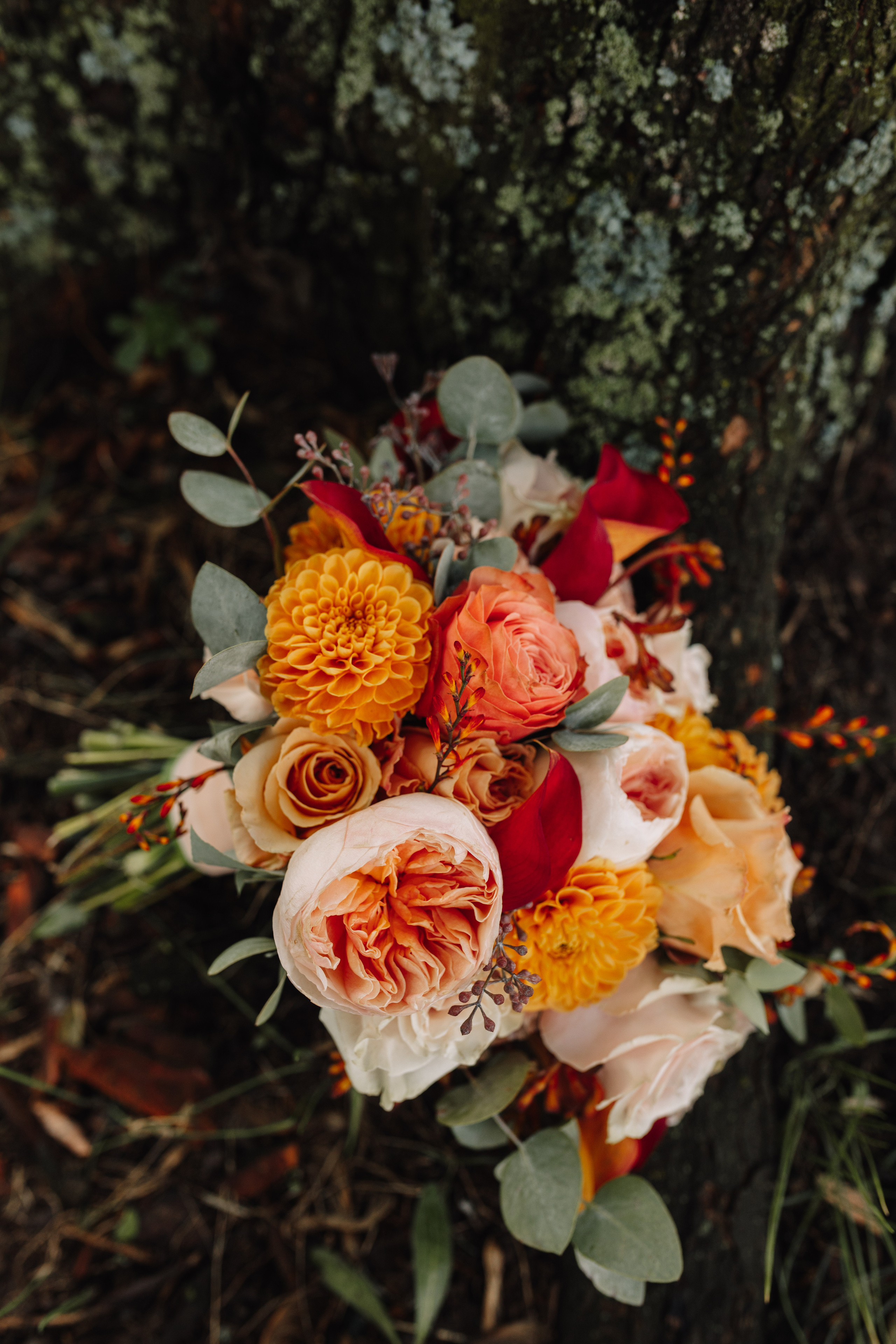 Анастасія & Дмитро. Весільний та сімейний фотограф у Харкові Ткаченко Світлана