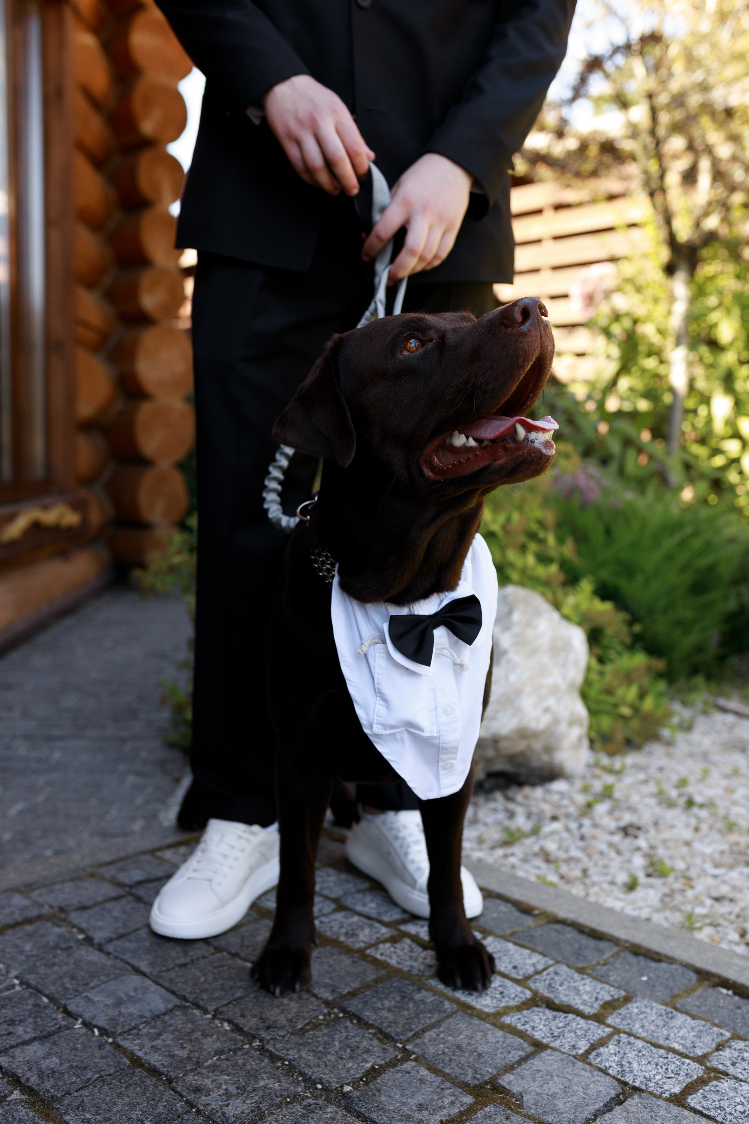 Дар’я & Артур. Весільний та сімейний фотограф у Харкові Ткаченко Світлана