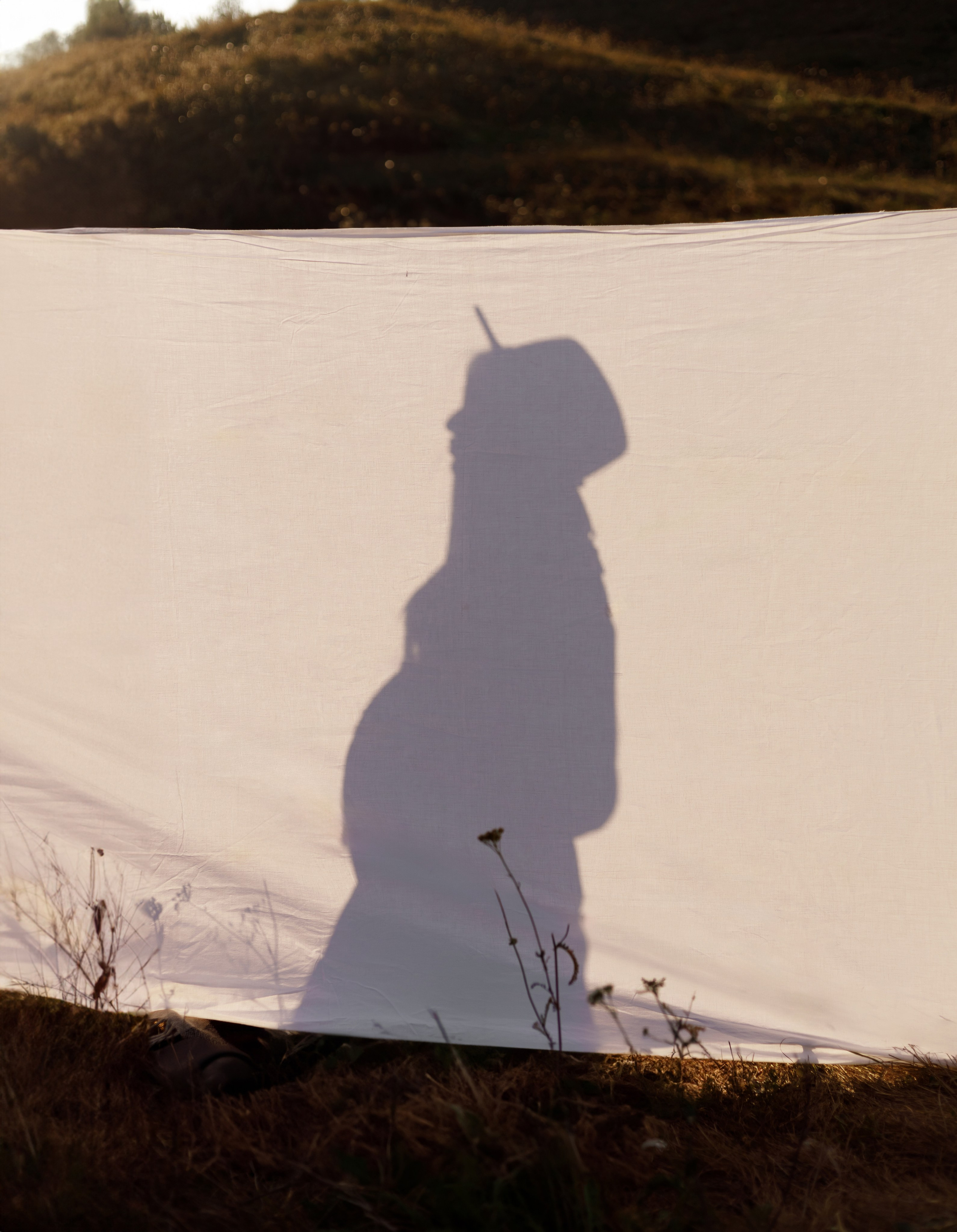 Анастасія & Вадим. Весільний та сімейний фотограф у Харкові Ткаченко Світлана