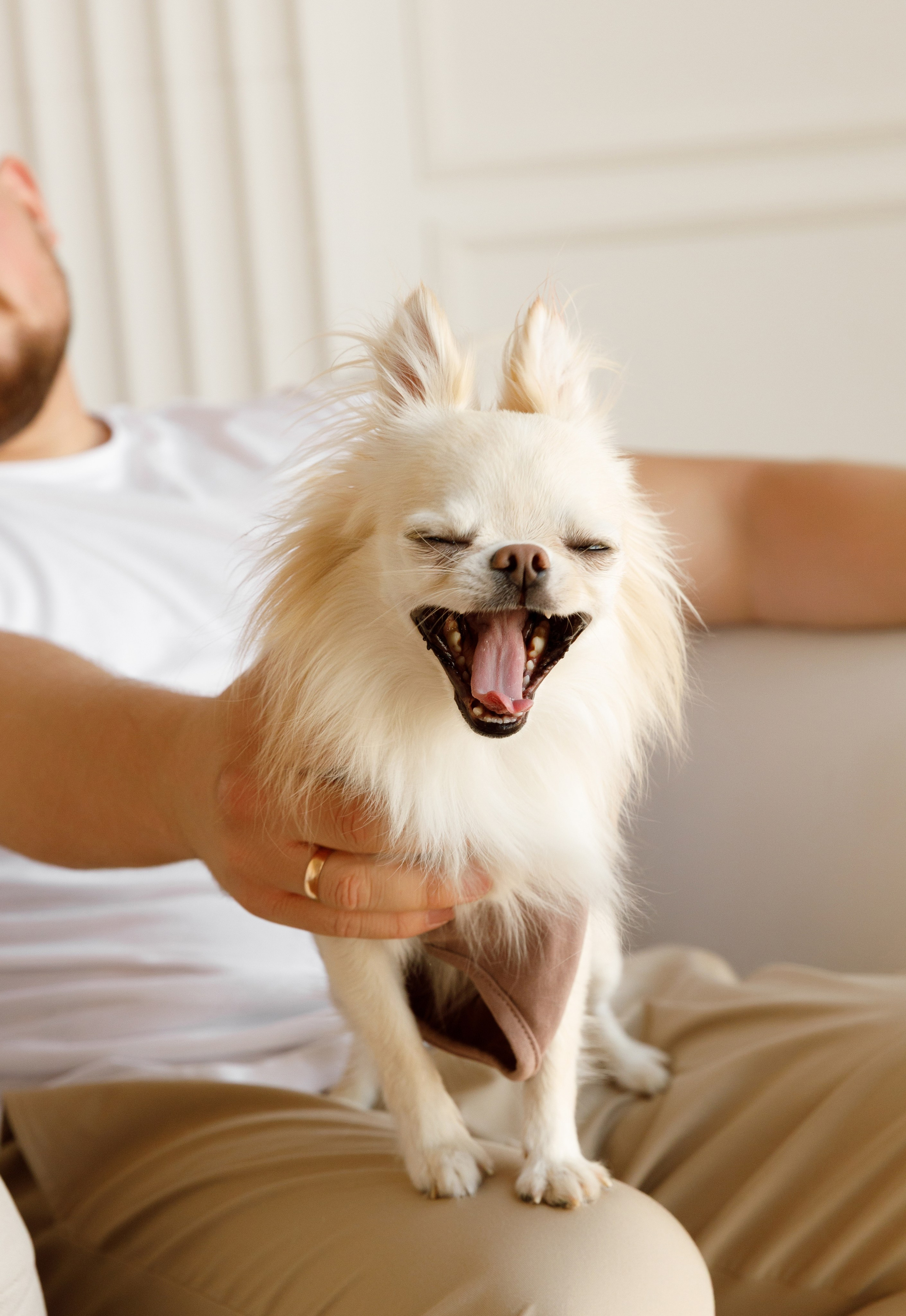 Ольга & Іван. Весільний та сімейний фотограф у Харкові Ткаченко Світлана