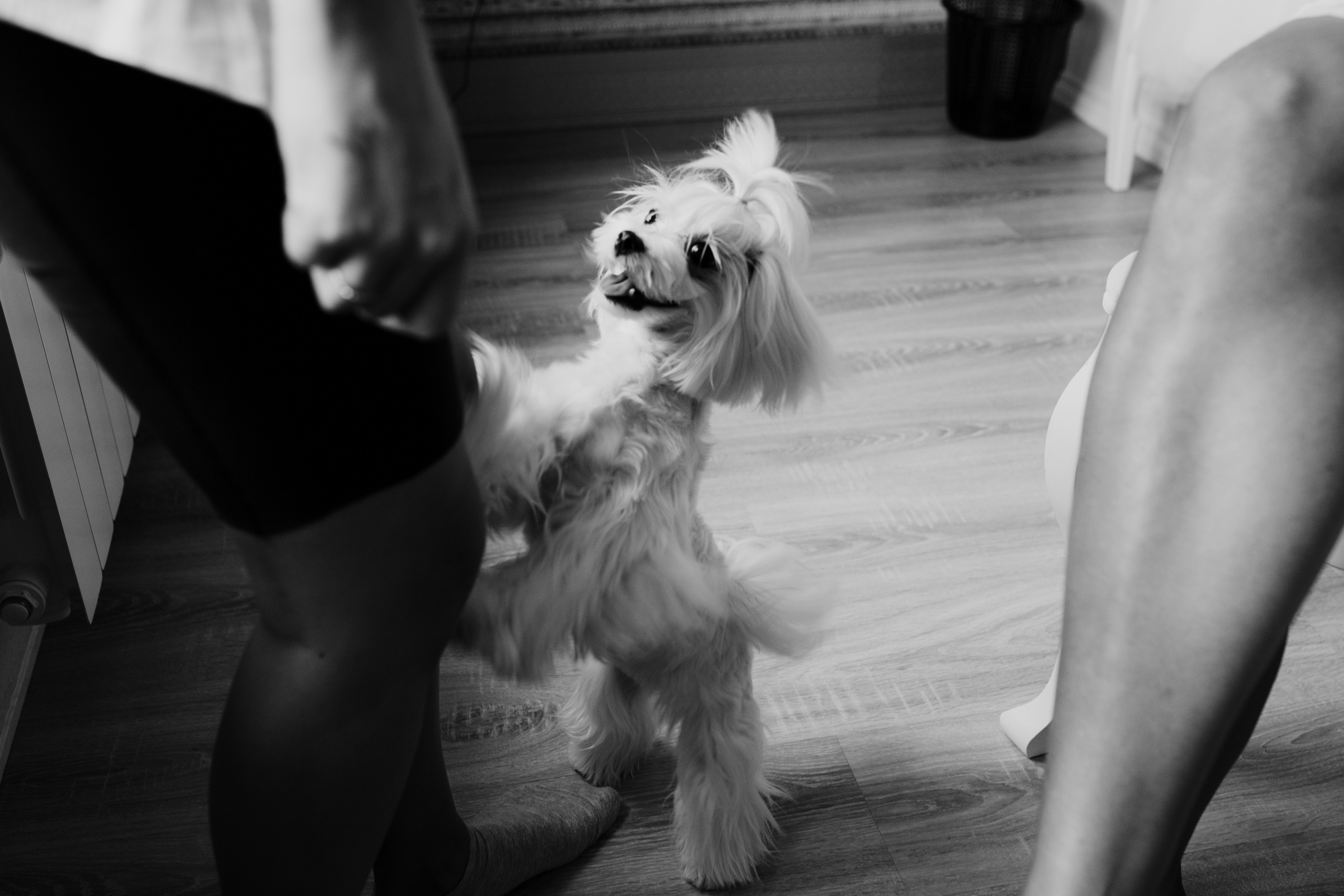 Христина & Стас. Весільний та сімейний фотограф у Харкові Ткаченко Світлана