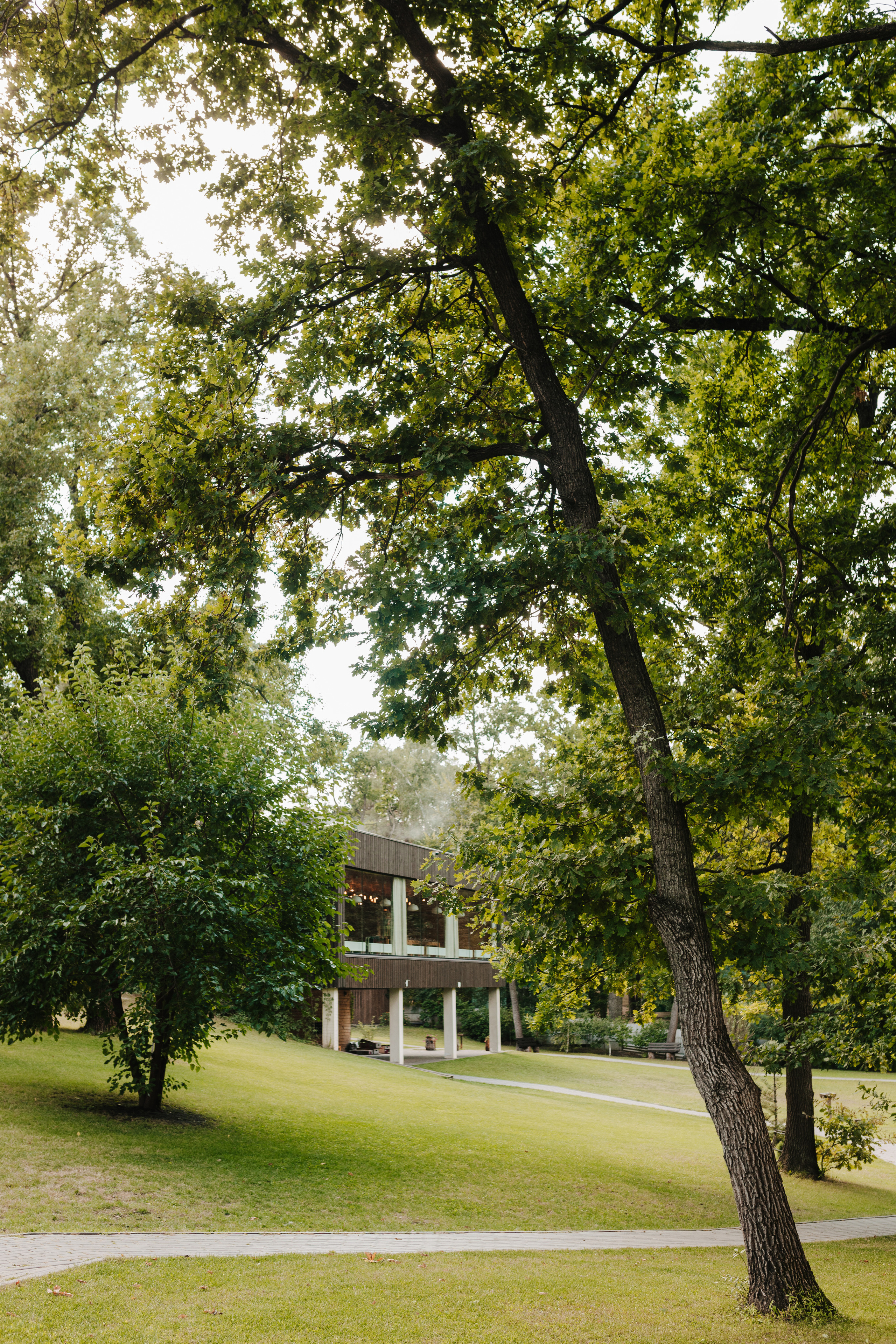 Віка & Максим. Весільний та сімейний фотограф у Харкові Ткаченко Світлана