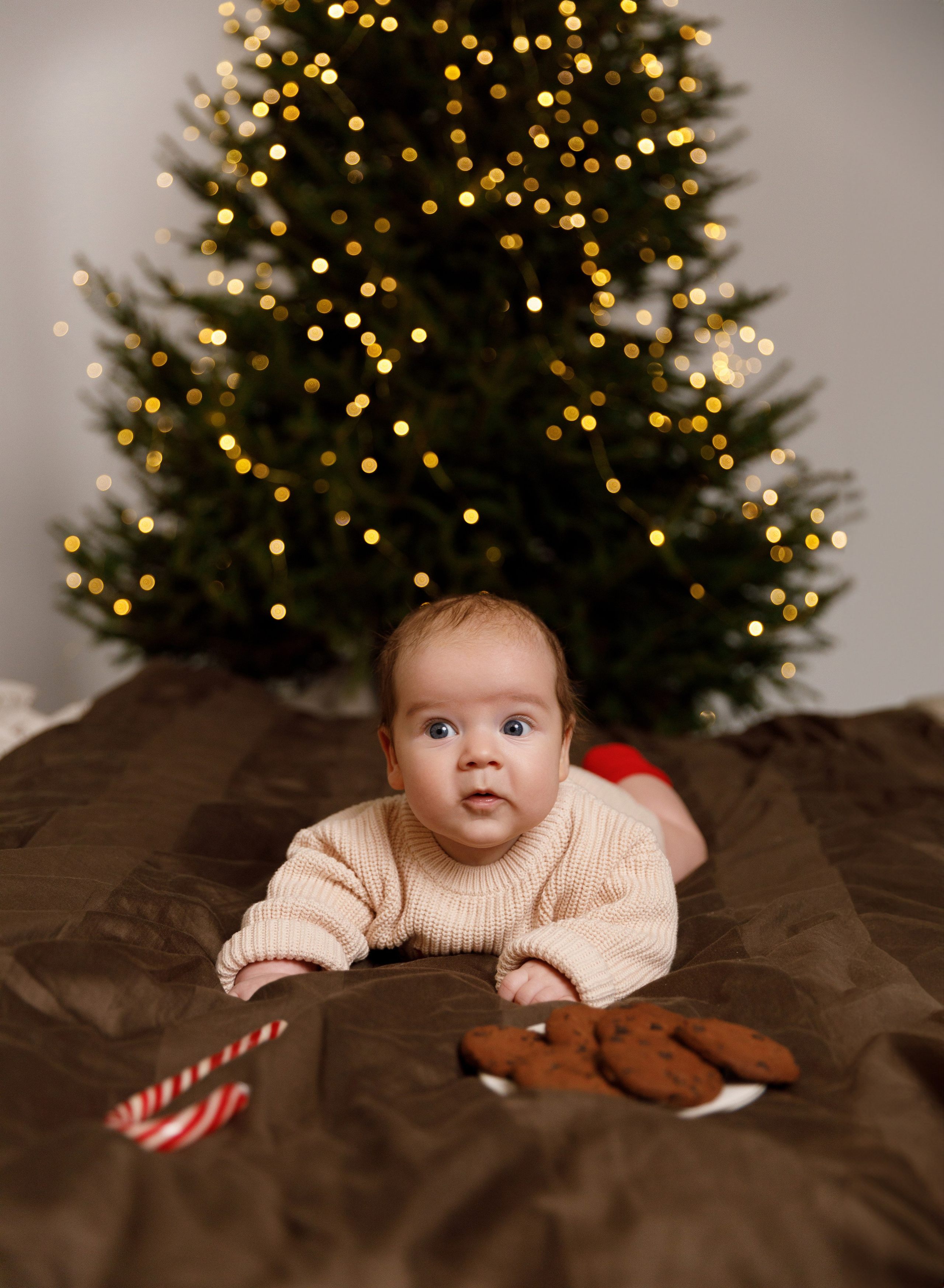 Віка & Влад & Артур. Весільний та сімейний фотограф у Харкові Ткаченко Світлана