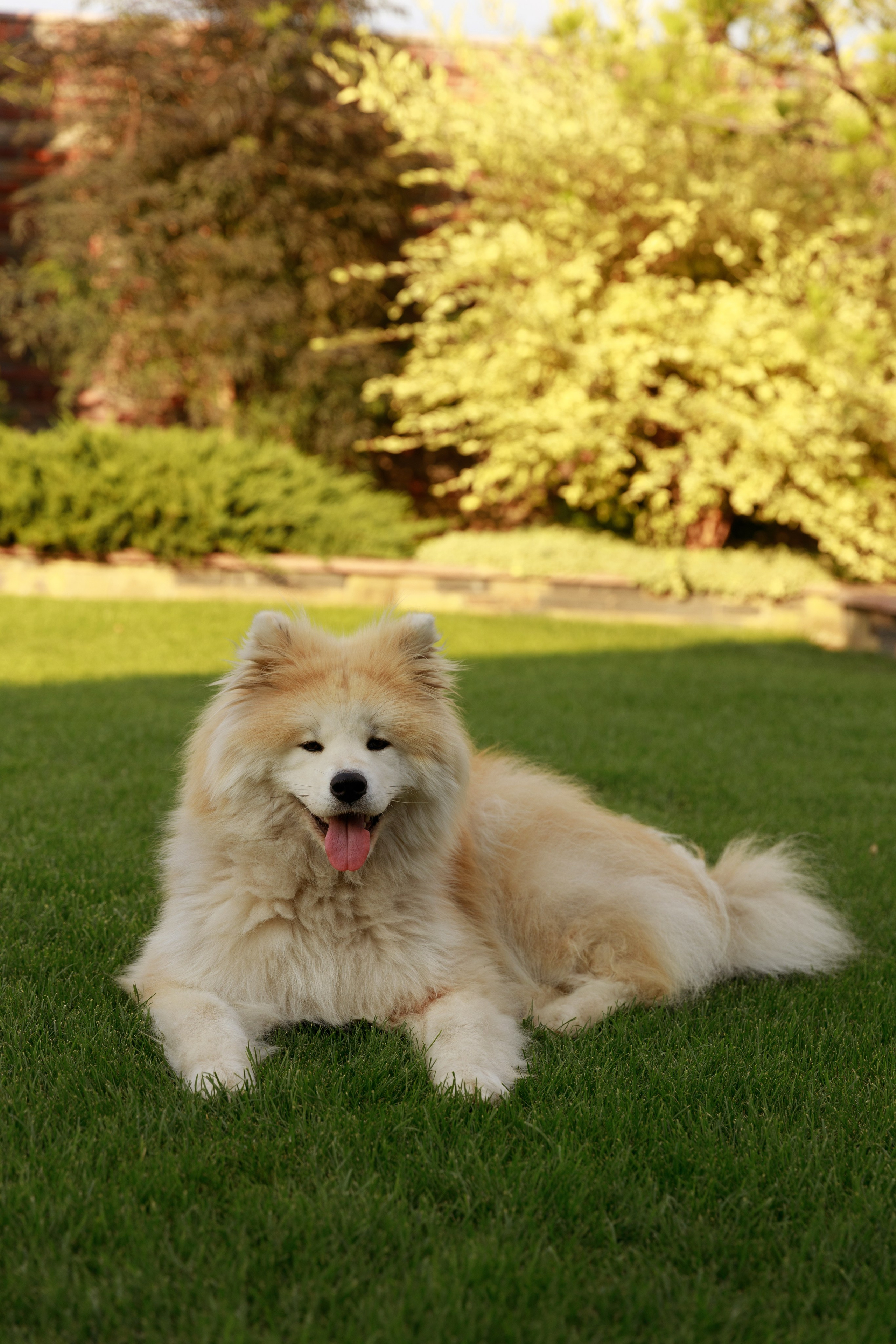 Анастасія & Дмитро & Михайло. Весільний та сімейний фотограф у Харкові Ткаченко Світлана