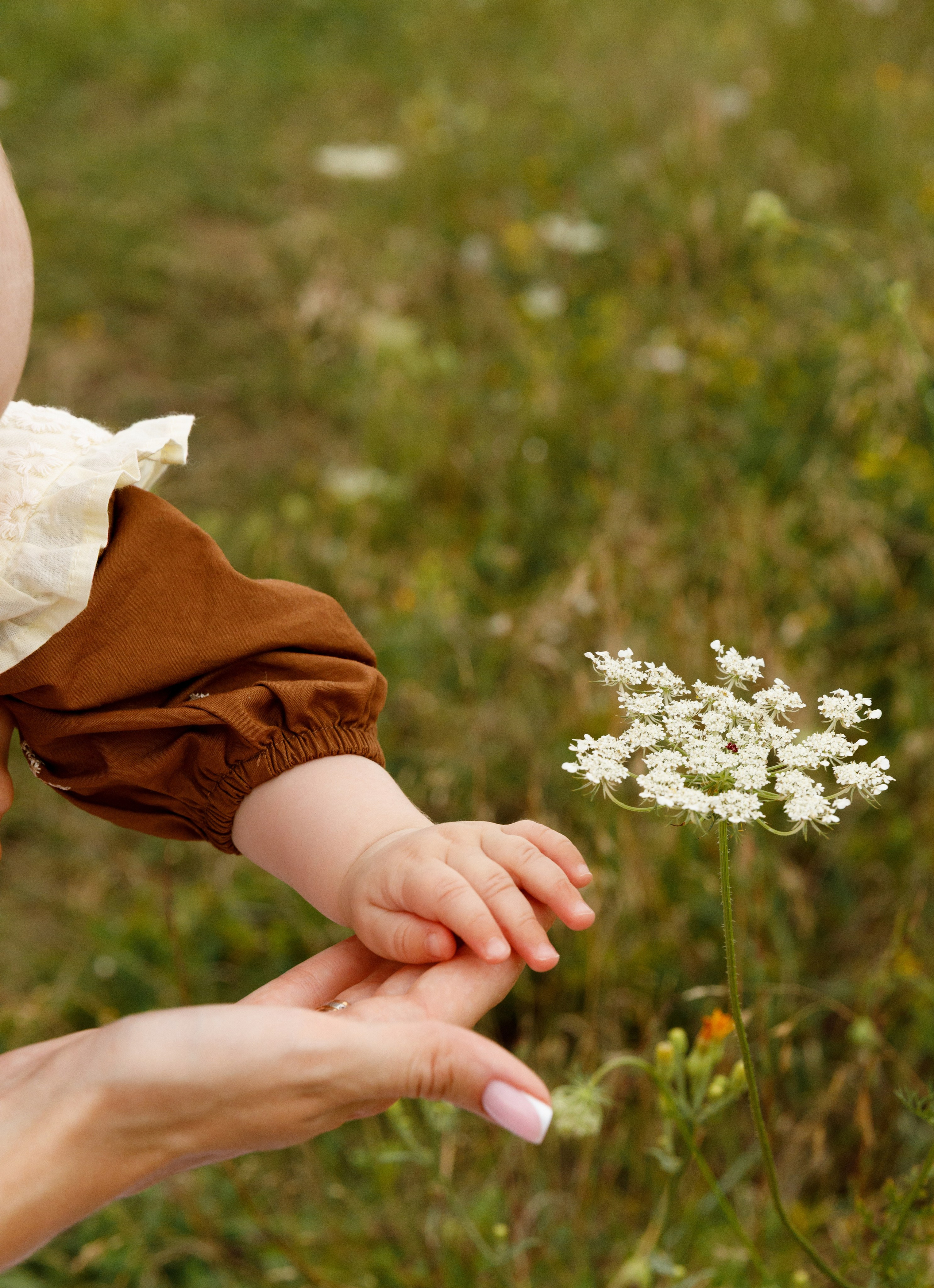 Анастасія & Дмитро & Ярослава. Весільний та сімейний фотограф у Харкові Ткаченко Світлана