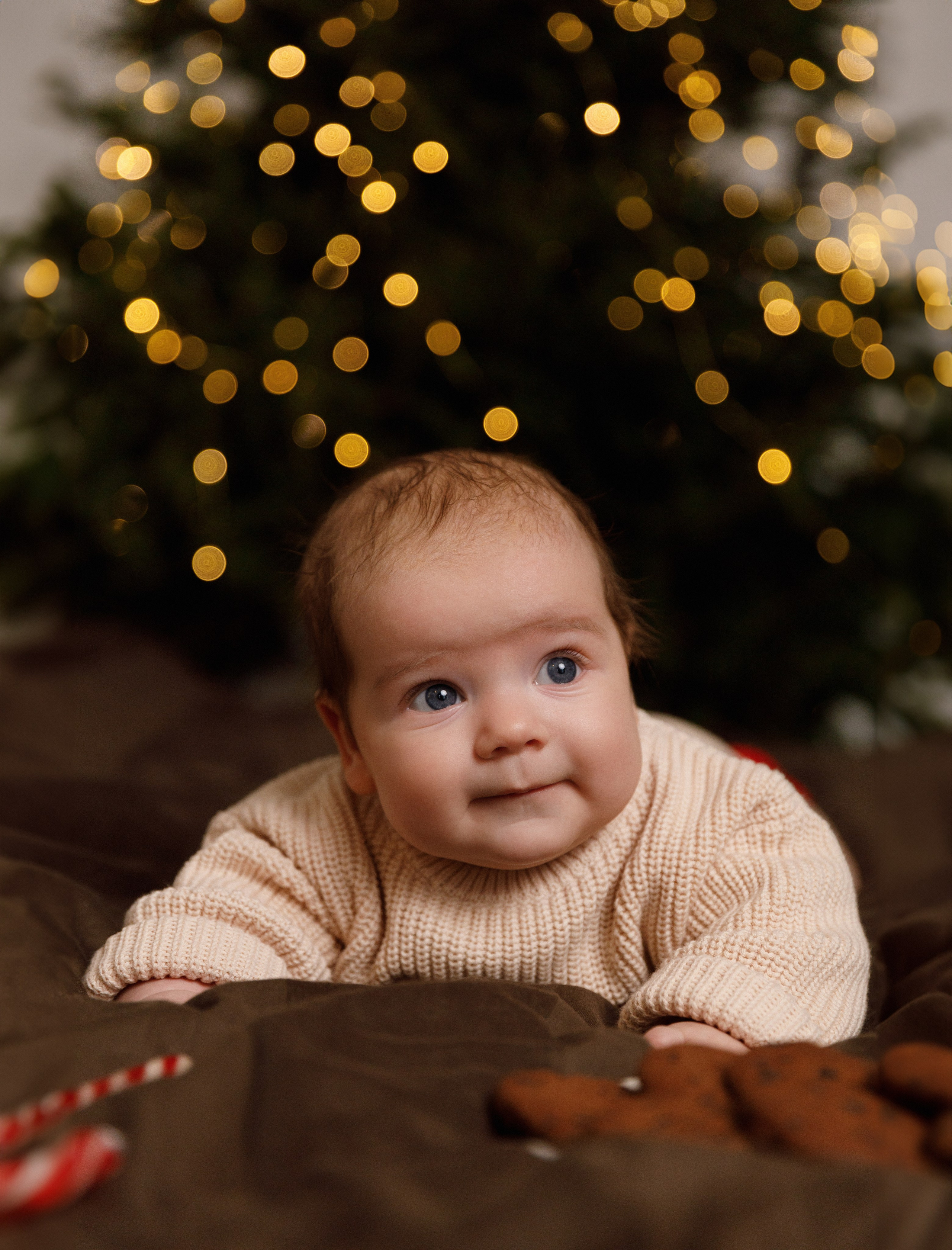 Віка & Влад & Артур. Весільний та сімейний фотограф у Харкові Ткаченко Світлана