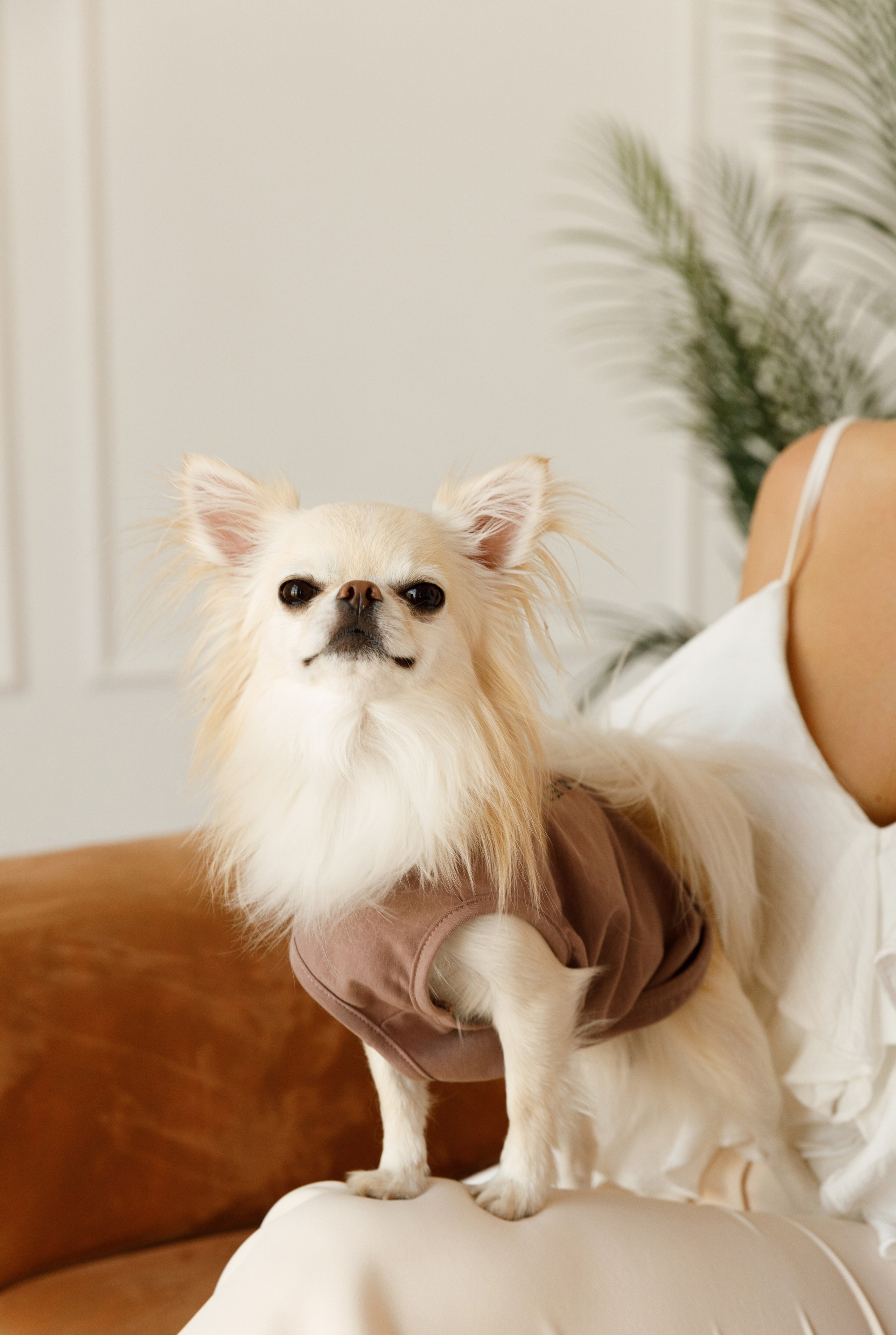 Ольга & Іван. Весільний та сімейний фотограф у Харкові Ткаченко Світлана