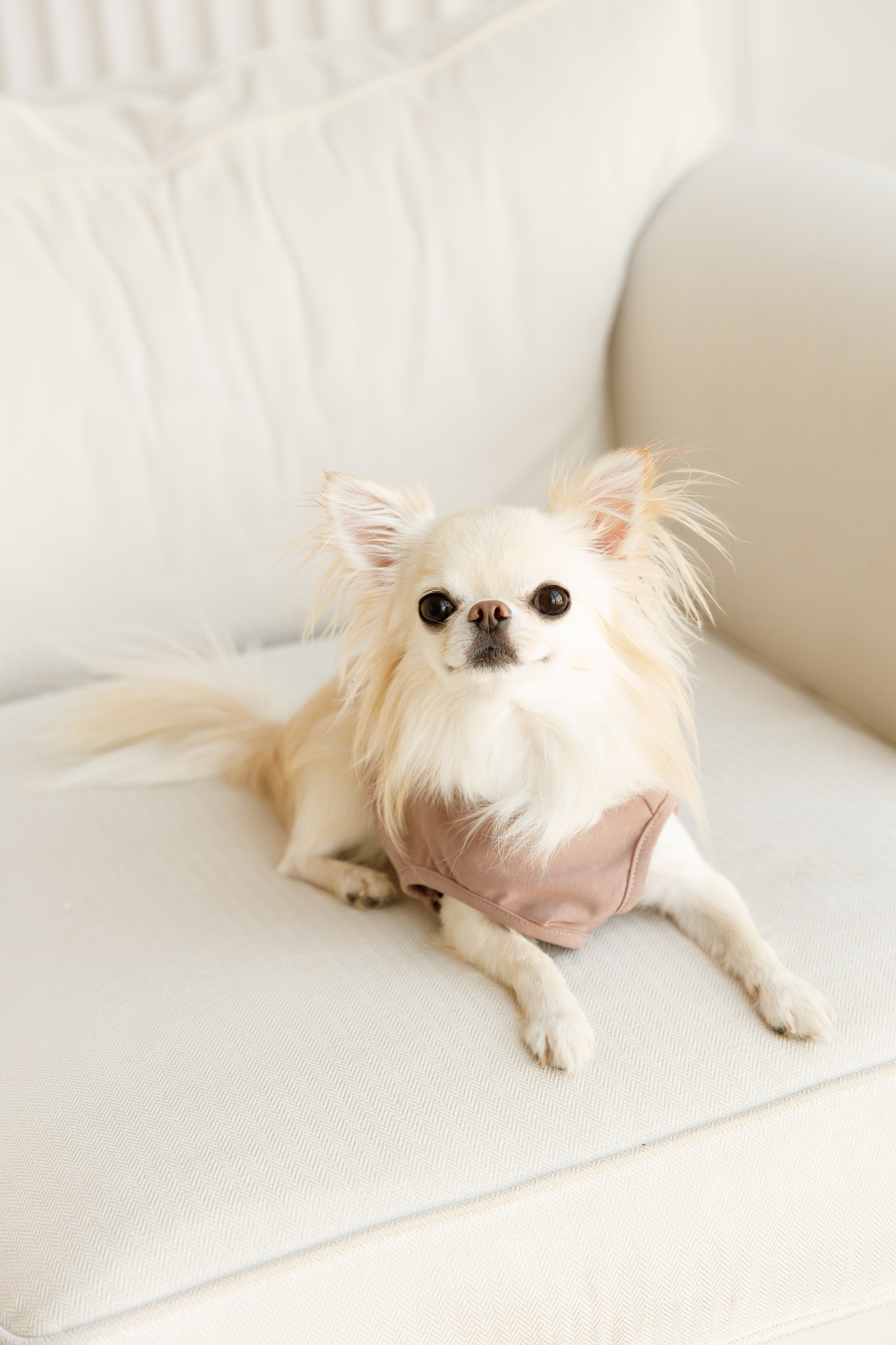 Ольга & Іван. Весільний та сімейний фотограф у Харкові Ткаченко Світлана