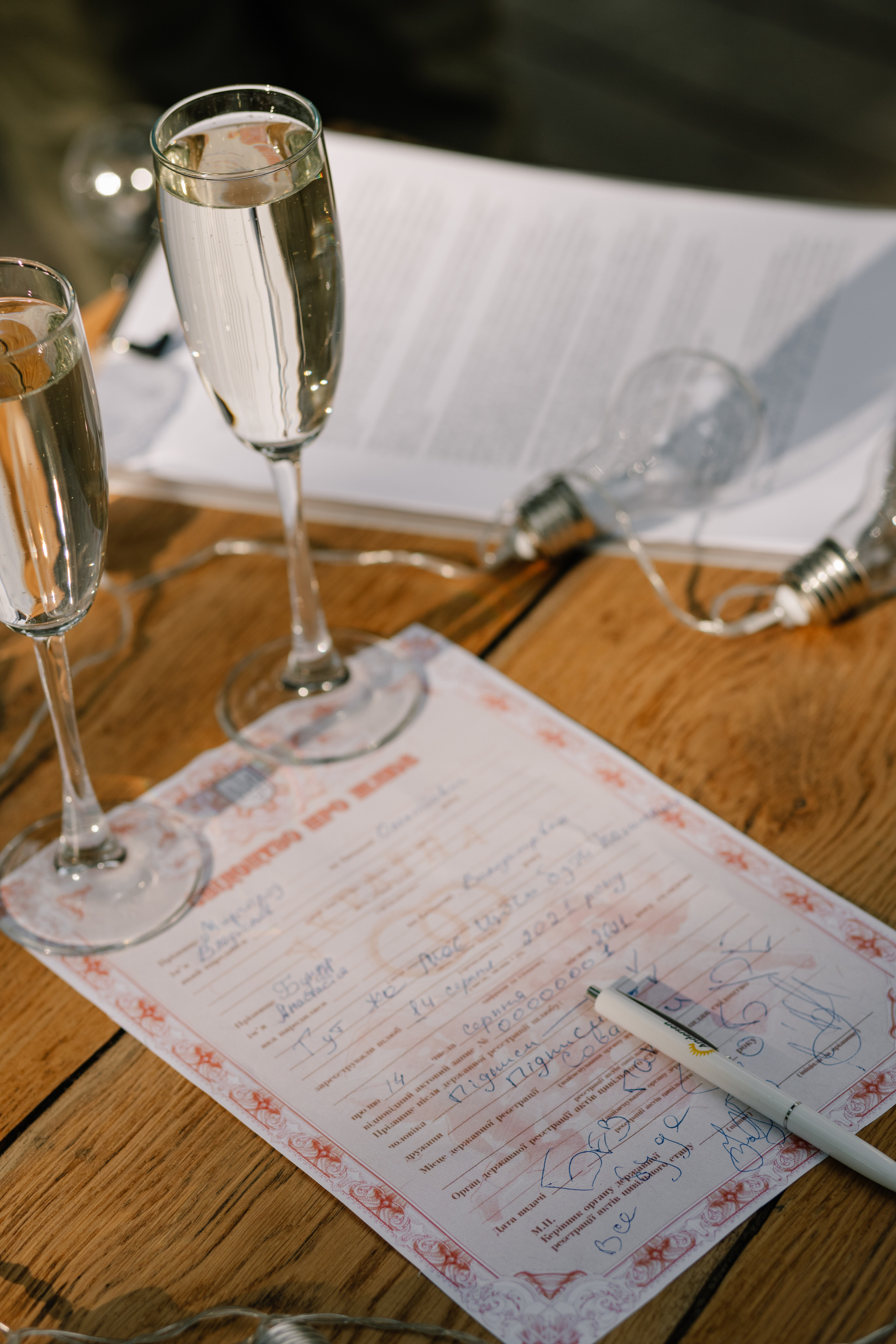 Настя & Влад. Весільний та сімейний фотограф у Харкові Ткаченко Світлана