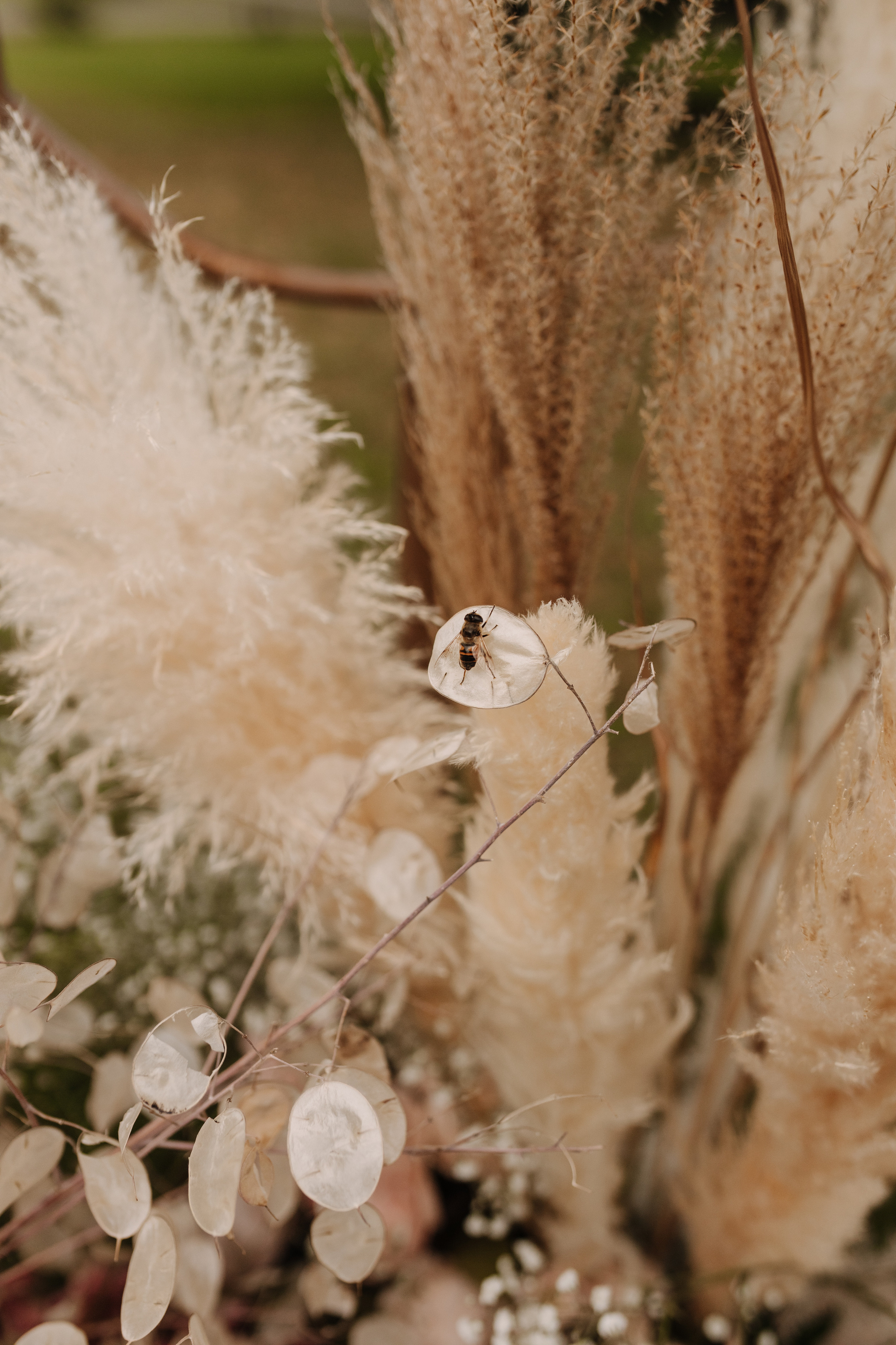 Віка & Максим. Весільний та сімейний фотограф у Харкові Ткаченко Світлана