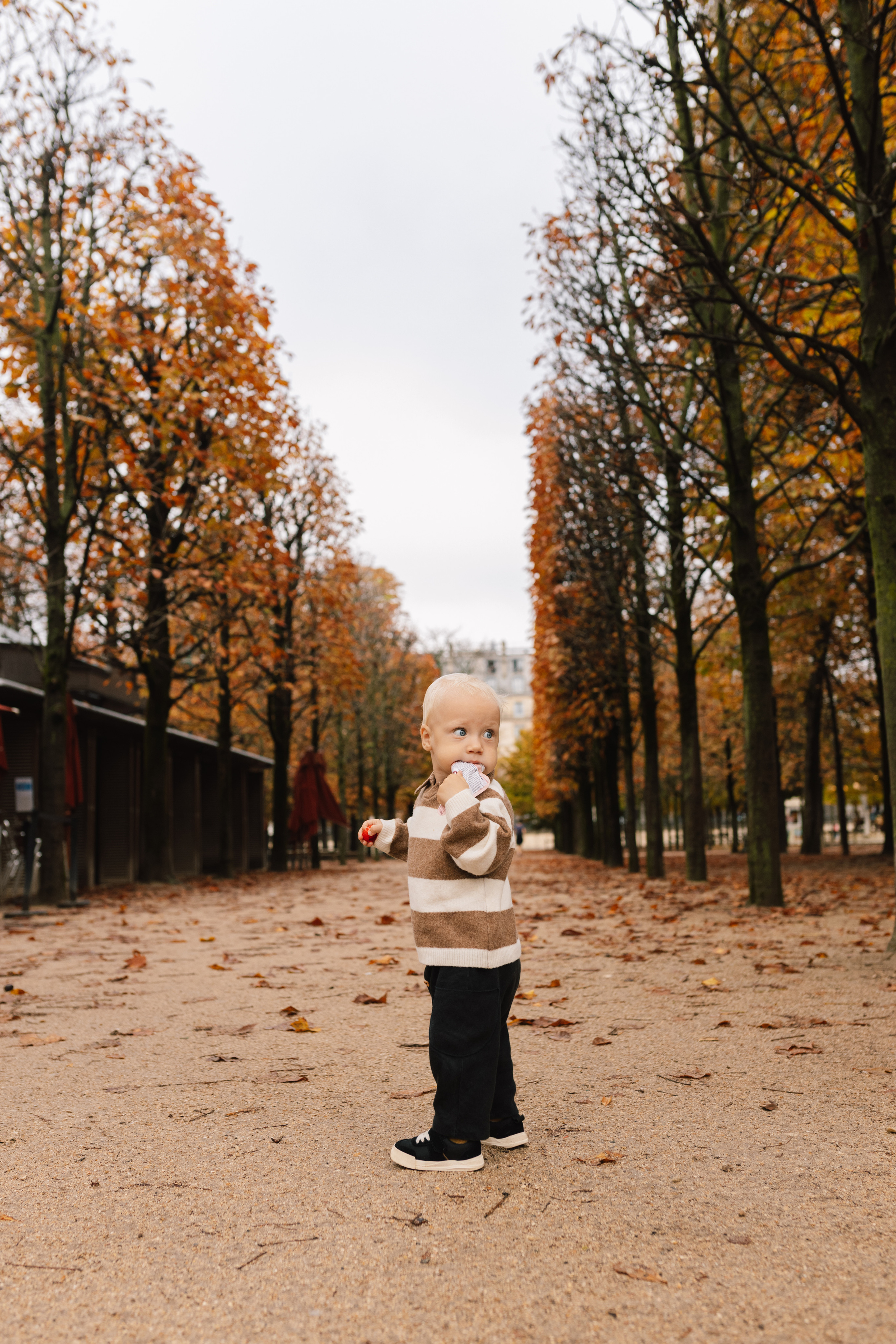 Саша & Матвій & Саша. Весільний та сімейний фотограф у Харкові Ткаченко Світлана
