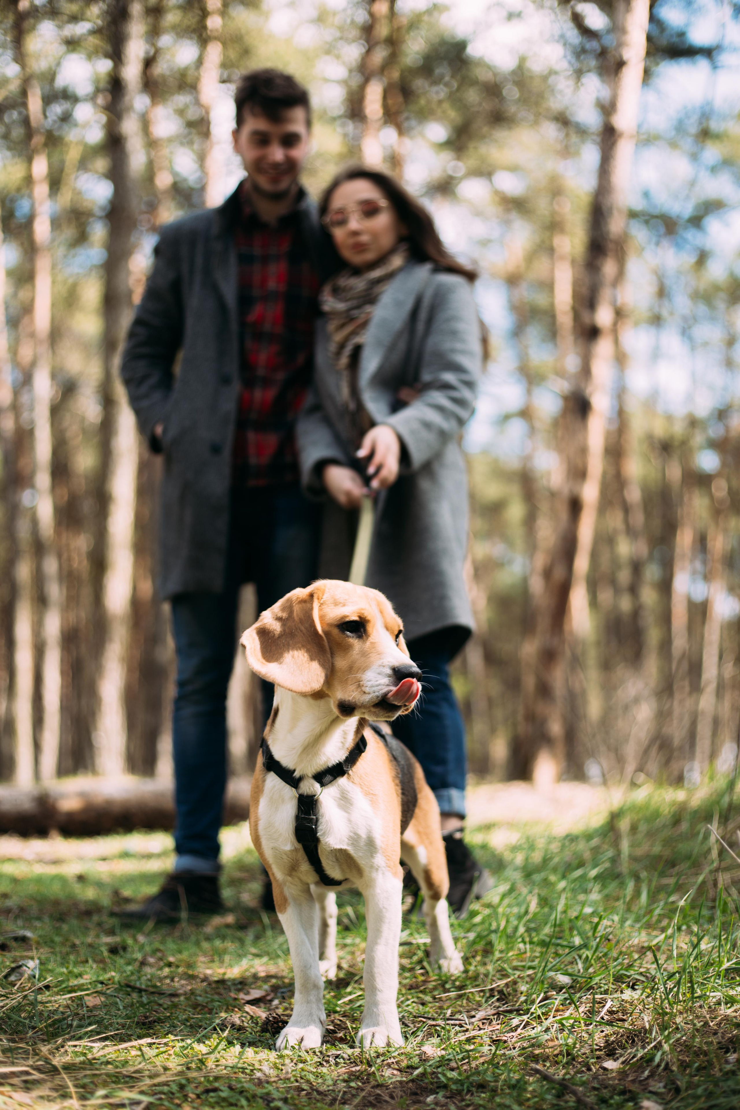 Лиза и Леша. Фотограф Аліканте, Торревьєха